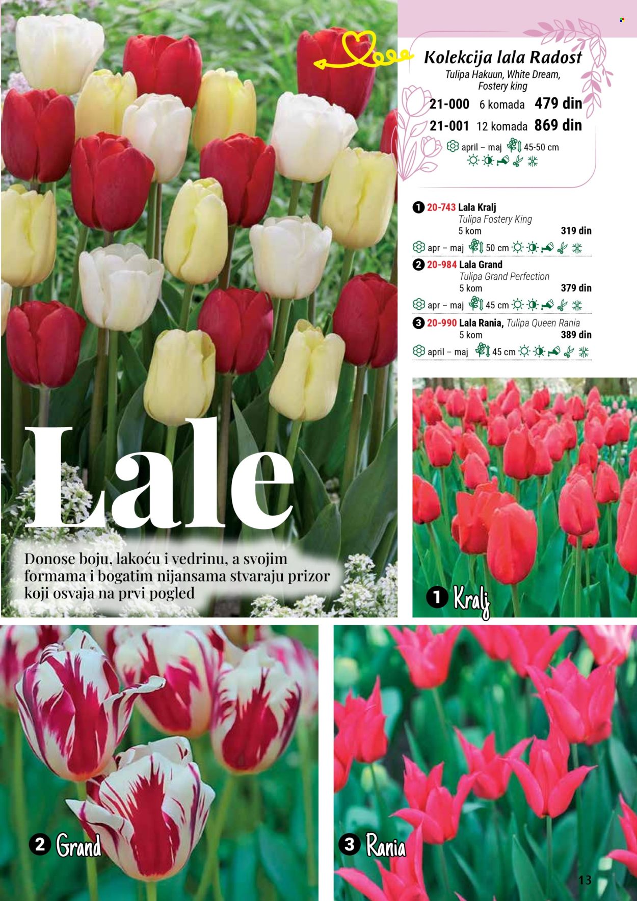 flora-ekspres - Flora Ekspres katalog septembar 2025 - page: 13
