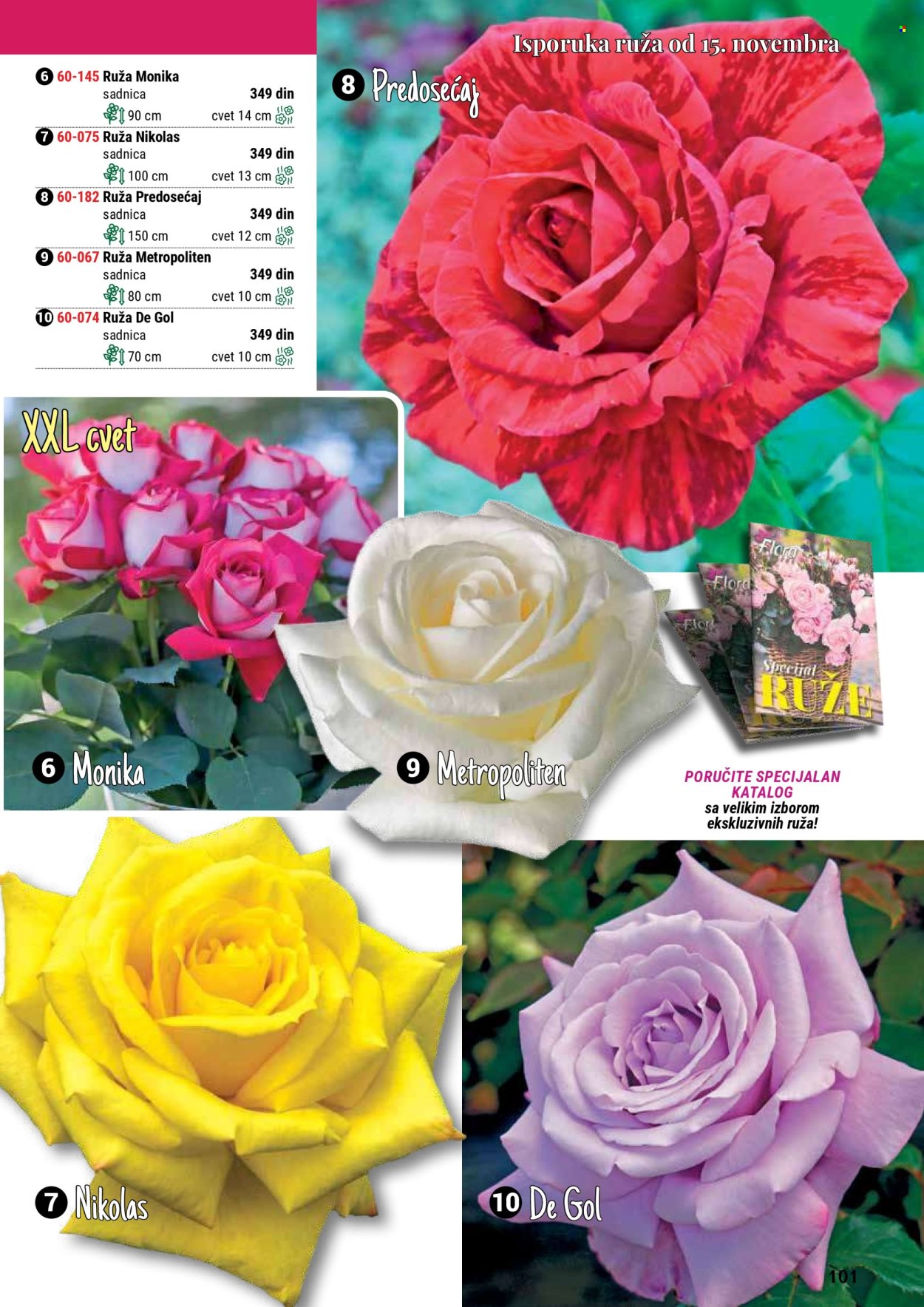 flora-ekspres - Flora Ekspres katalog septembar 2025 - page: 101
