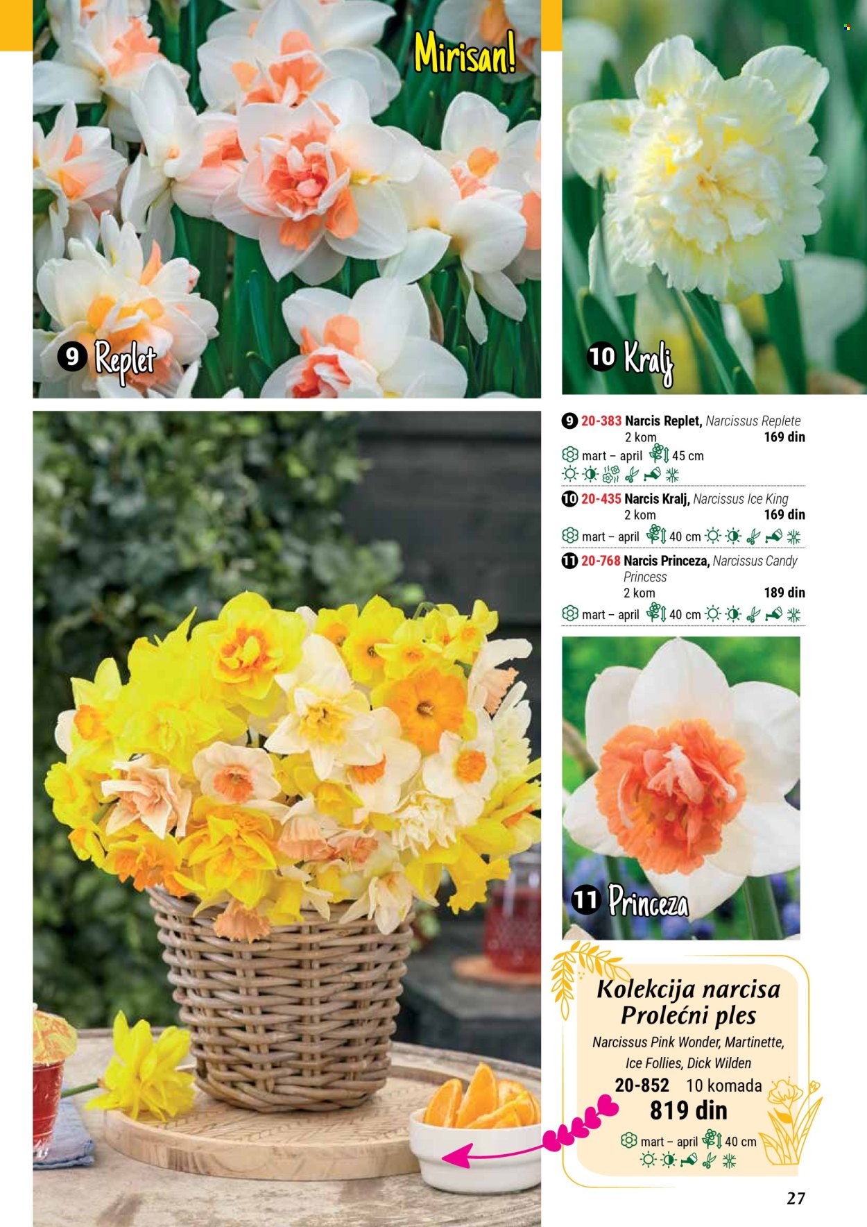 flora-ekspres - Flora Ekspres katalog septembar 2025 - page: 27