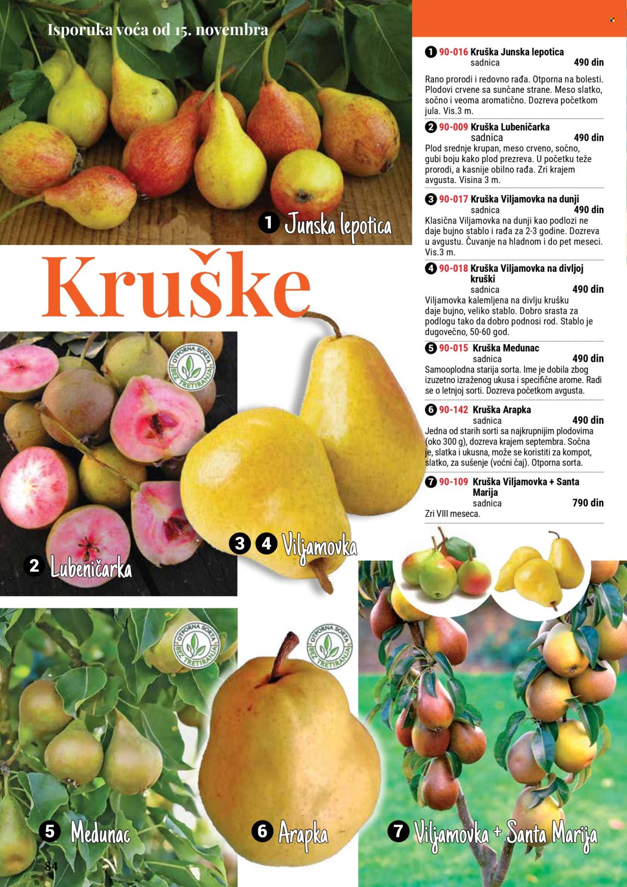 flora-ekspres - Flora Ekspres katalog septembar 2025 - page: 84