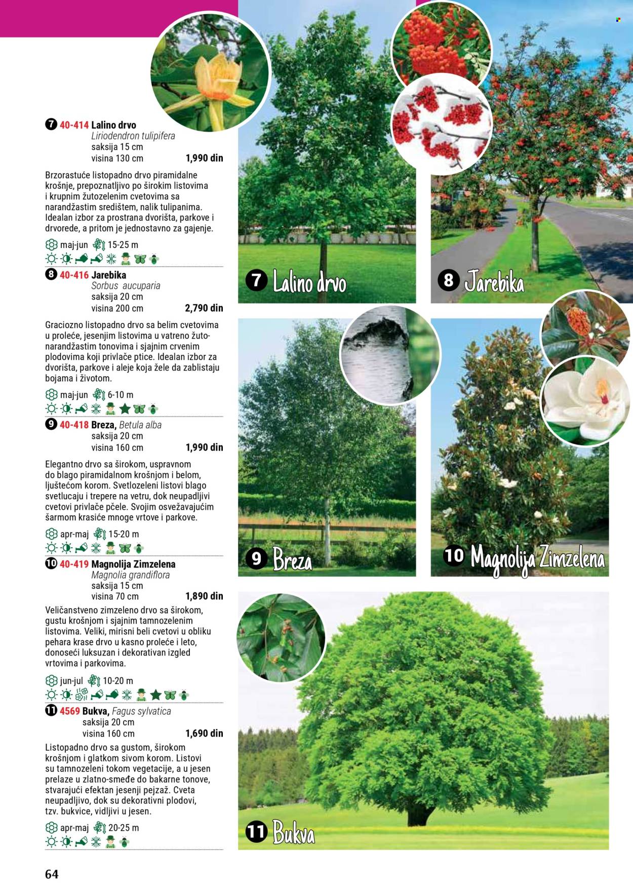 flora-ekspres - Flora Ekspres katalog septembar 2025 - page: 64