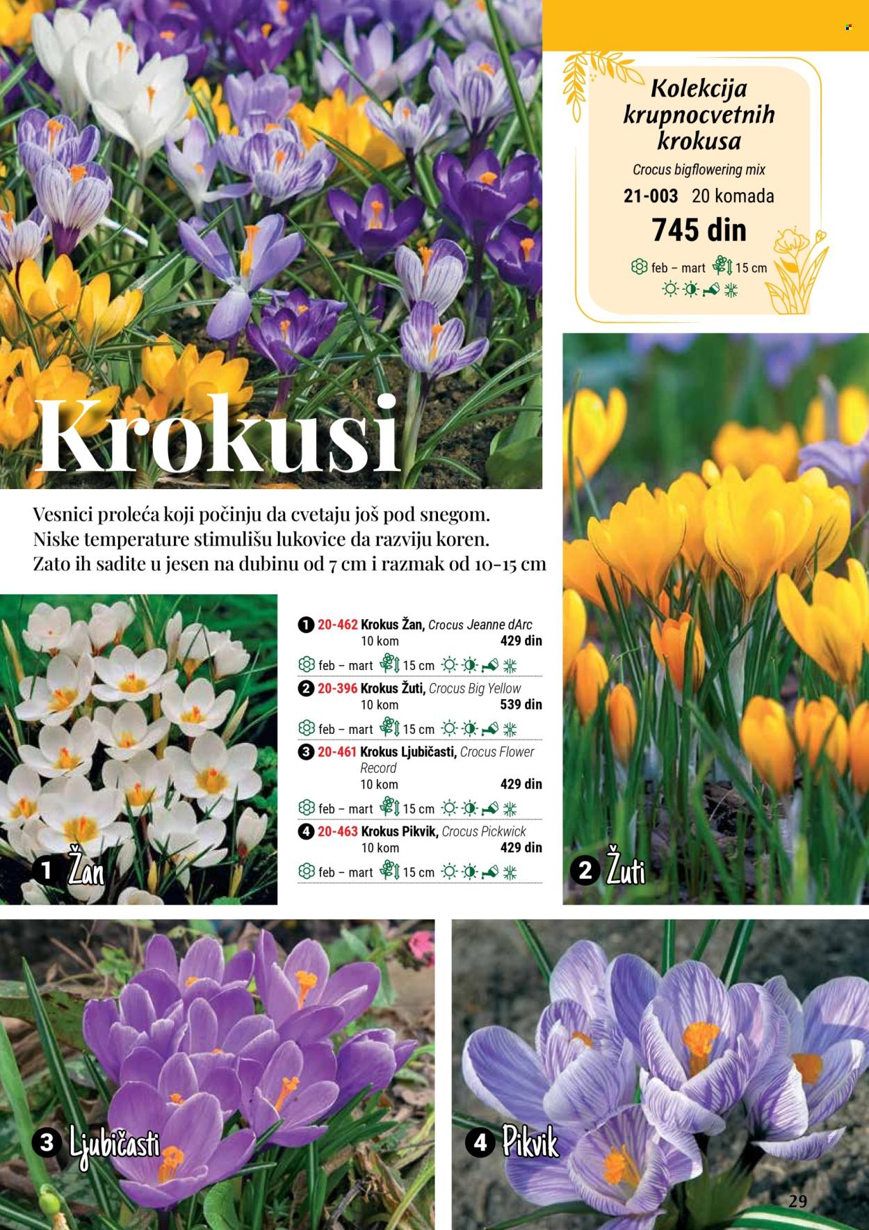 flora-ekspres - Flora Ekspres katalog septembar 2025 - page: 29