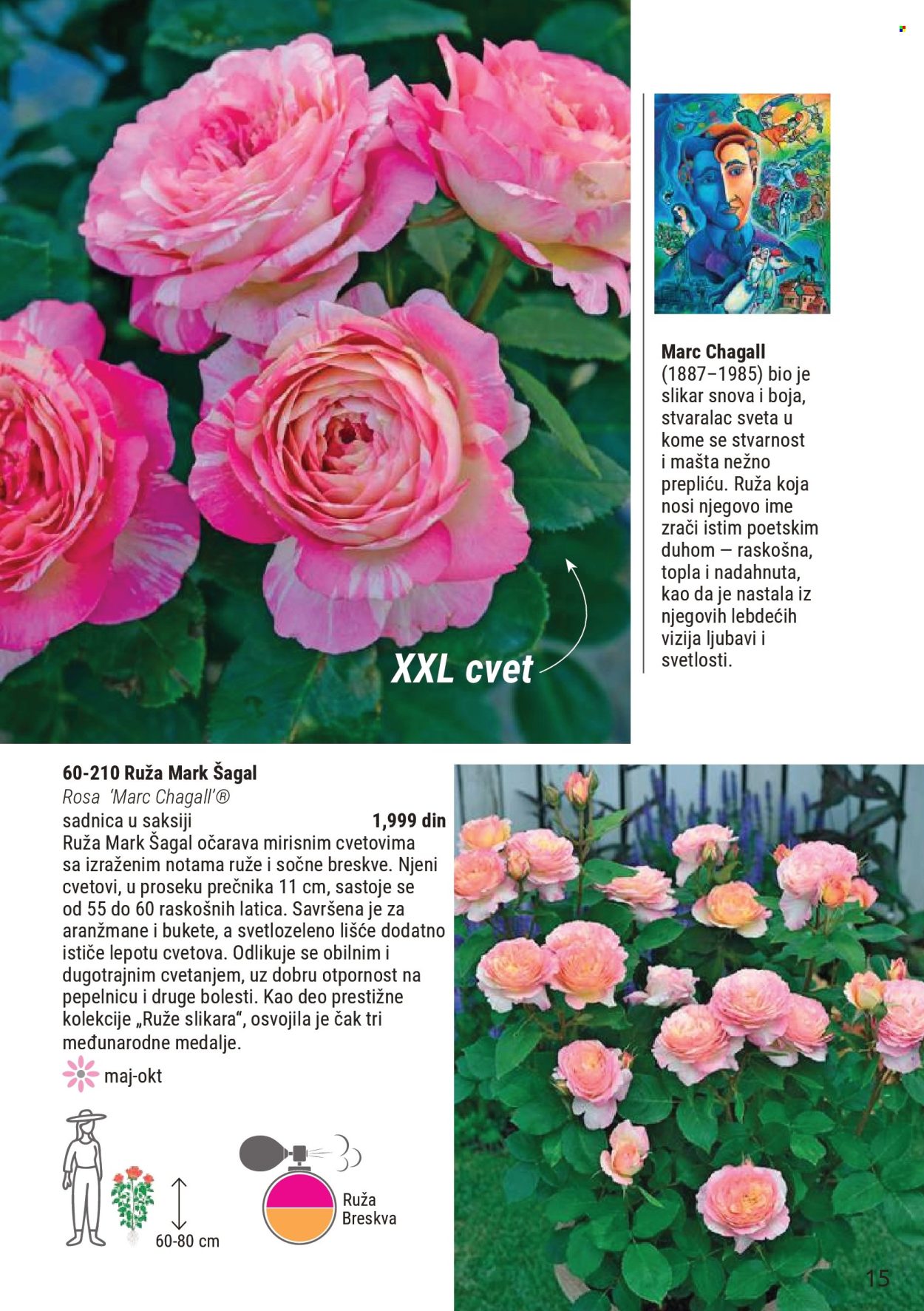 flora-ekspres - Flora Ekspres katalog novembar 2025 - page: 15