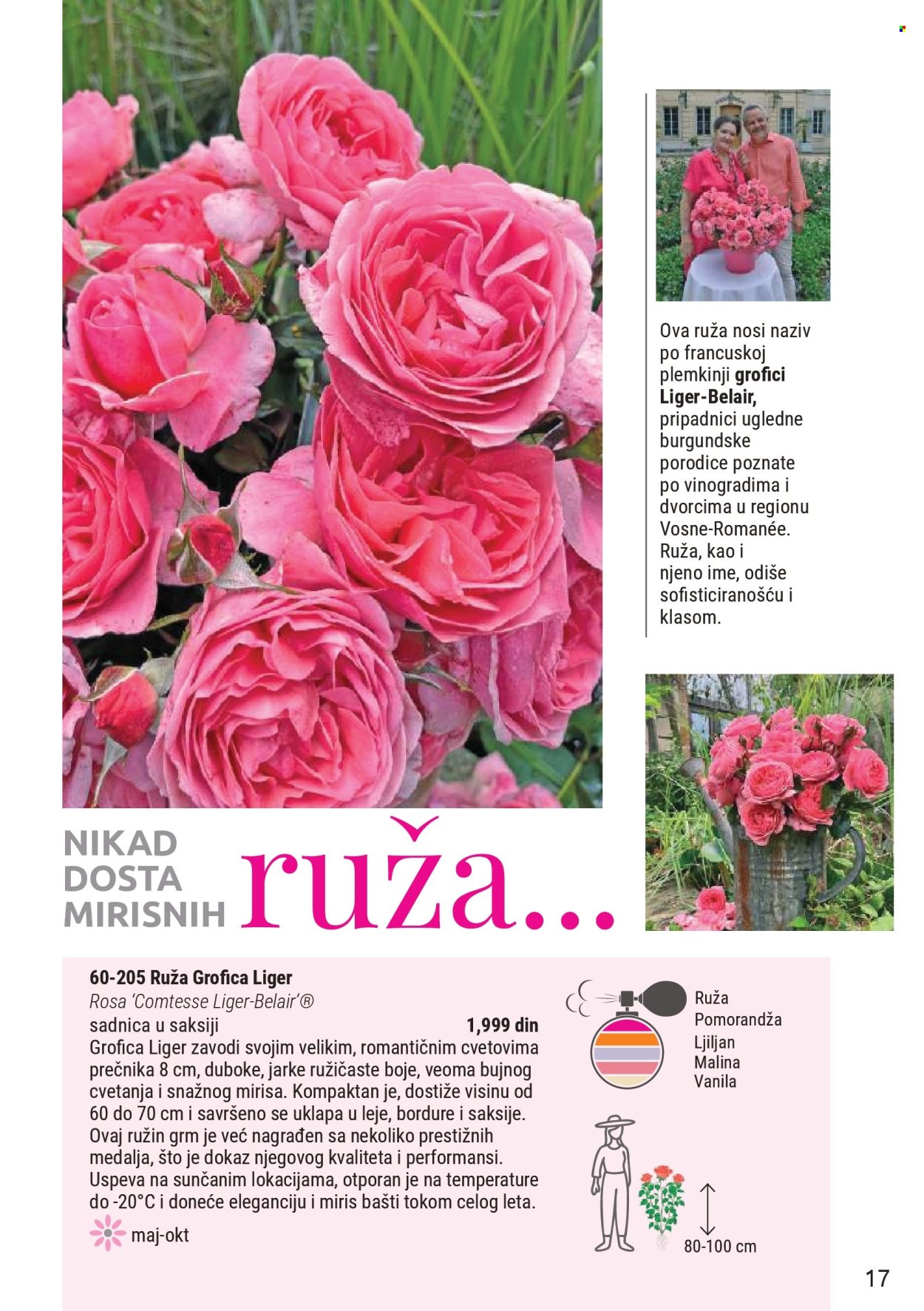 flora-ekspres - Flora Ekspres katalog novembar 2025 - page: 17