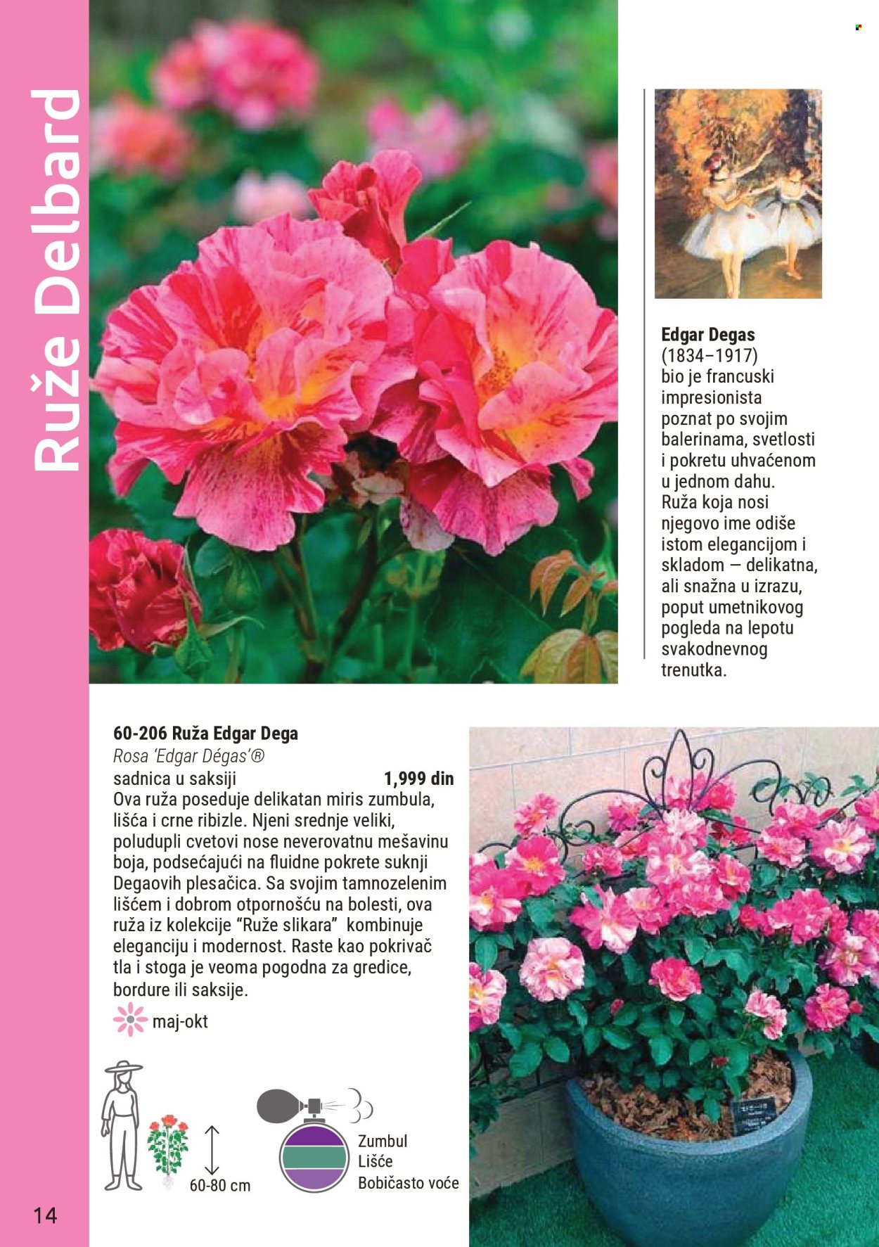 flora-ekspres - Flora Ekspres katalog novembar 2025 - page: 14