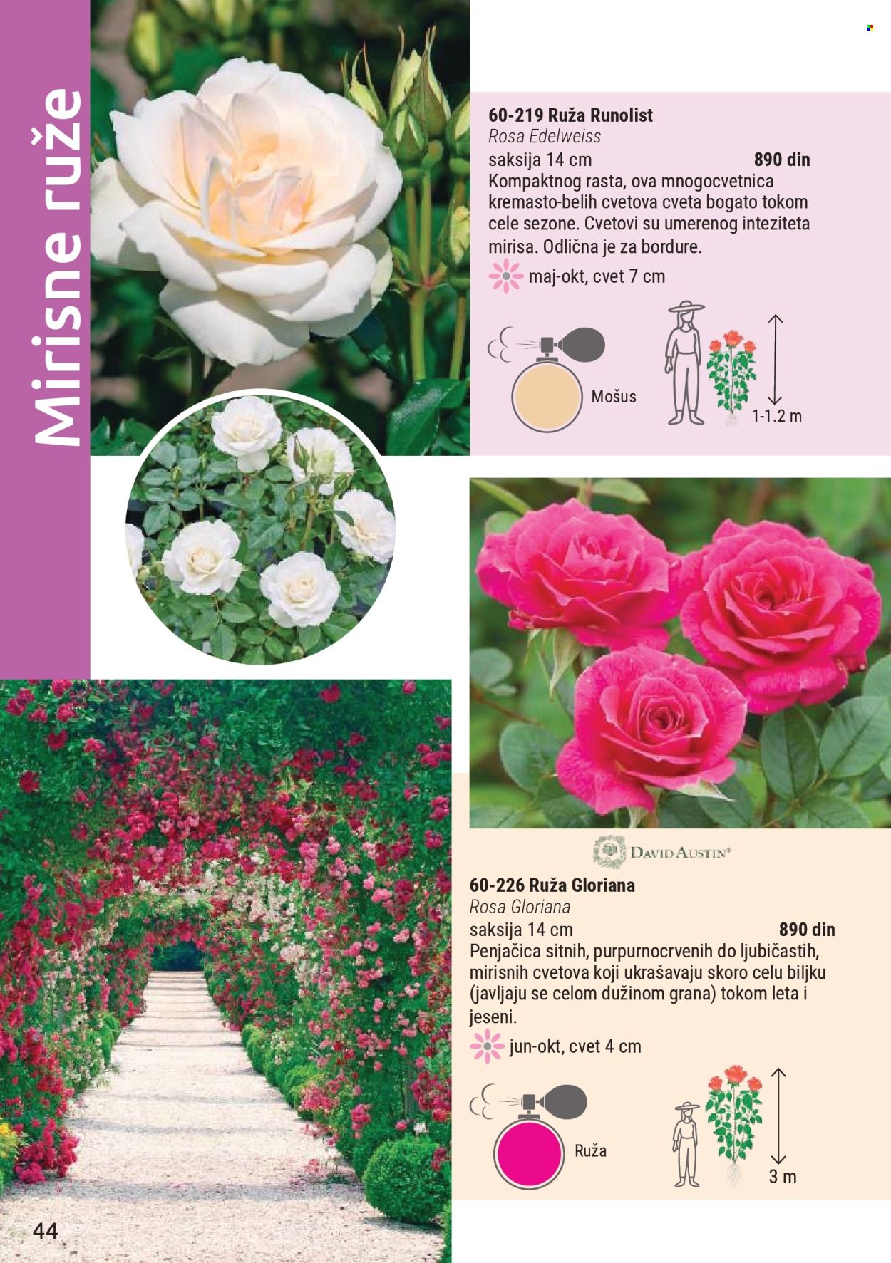 flora-ekspres - Flora Ekspres katalog novembar 2025 - page: 44