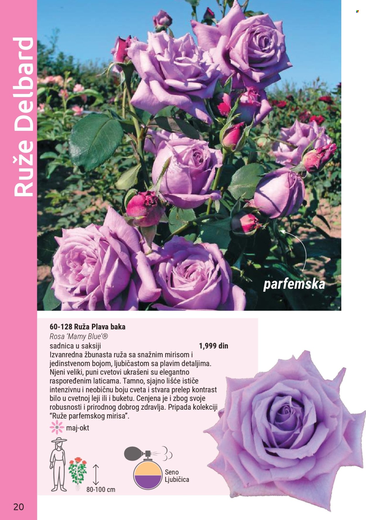 flora-ekspres - Flora Ekspres katalog novembar 2025 - page: 20