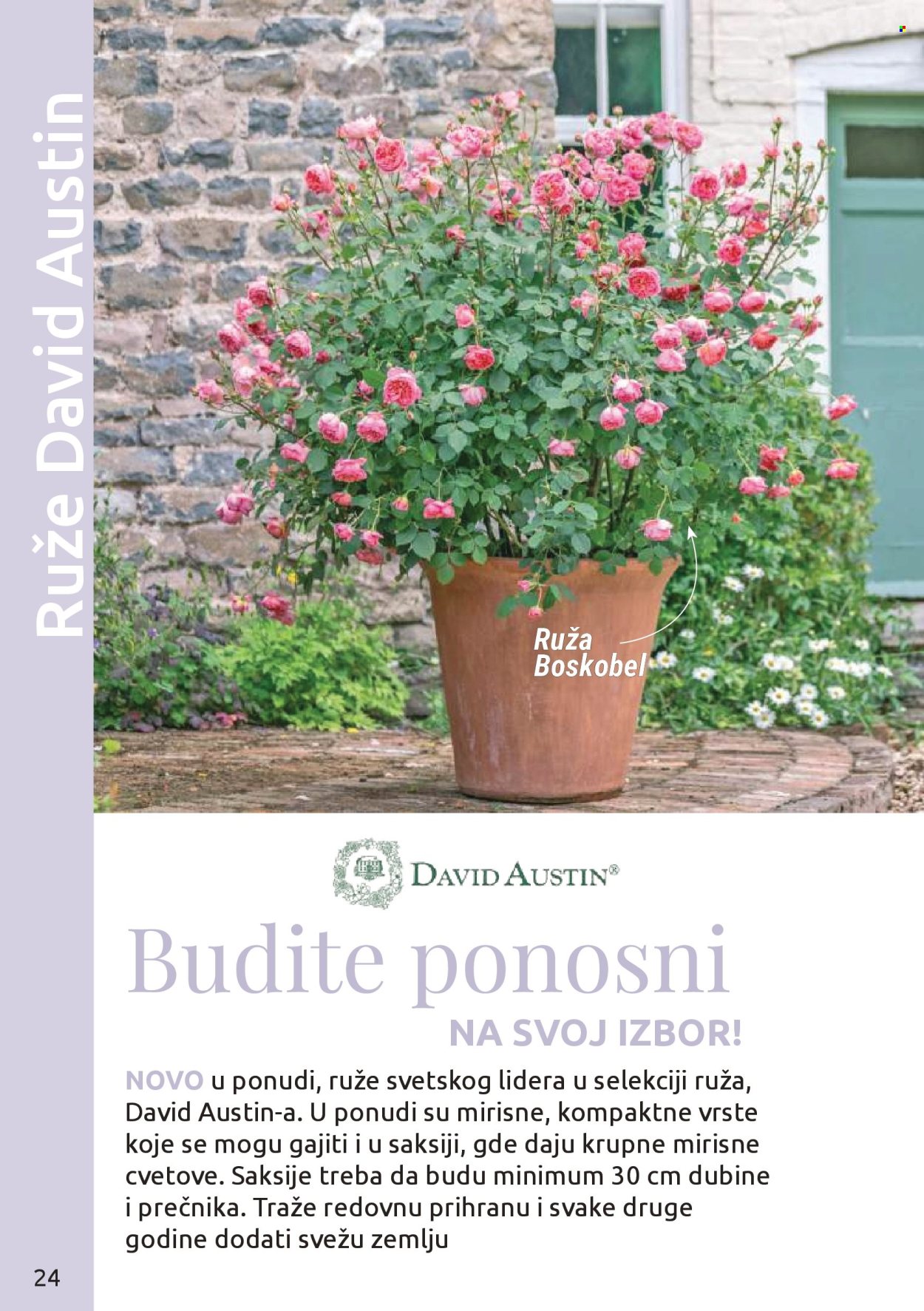 flora-ekspres - Flora Ekspres katalog novembar 2025 - page: 24