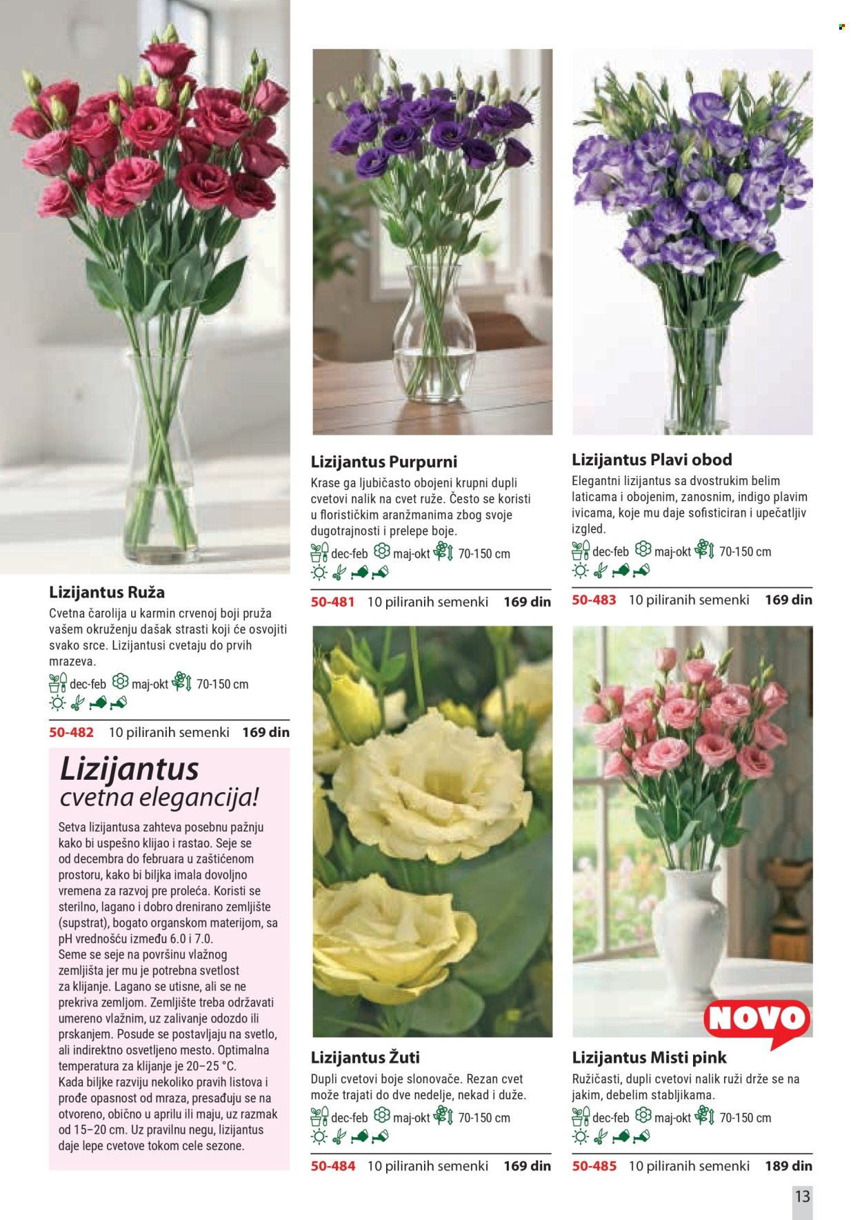 flora-ekspres - Flora Ekspres katalog februar 2026 - page: 13