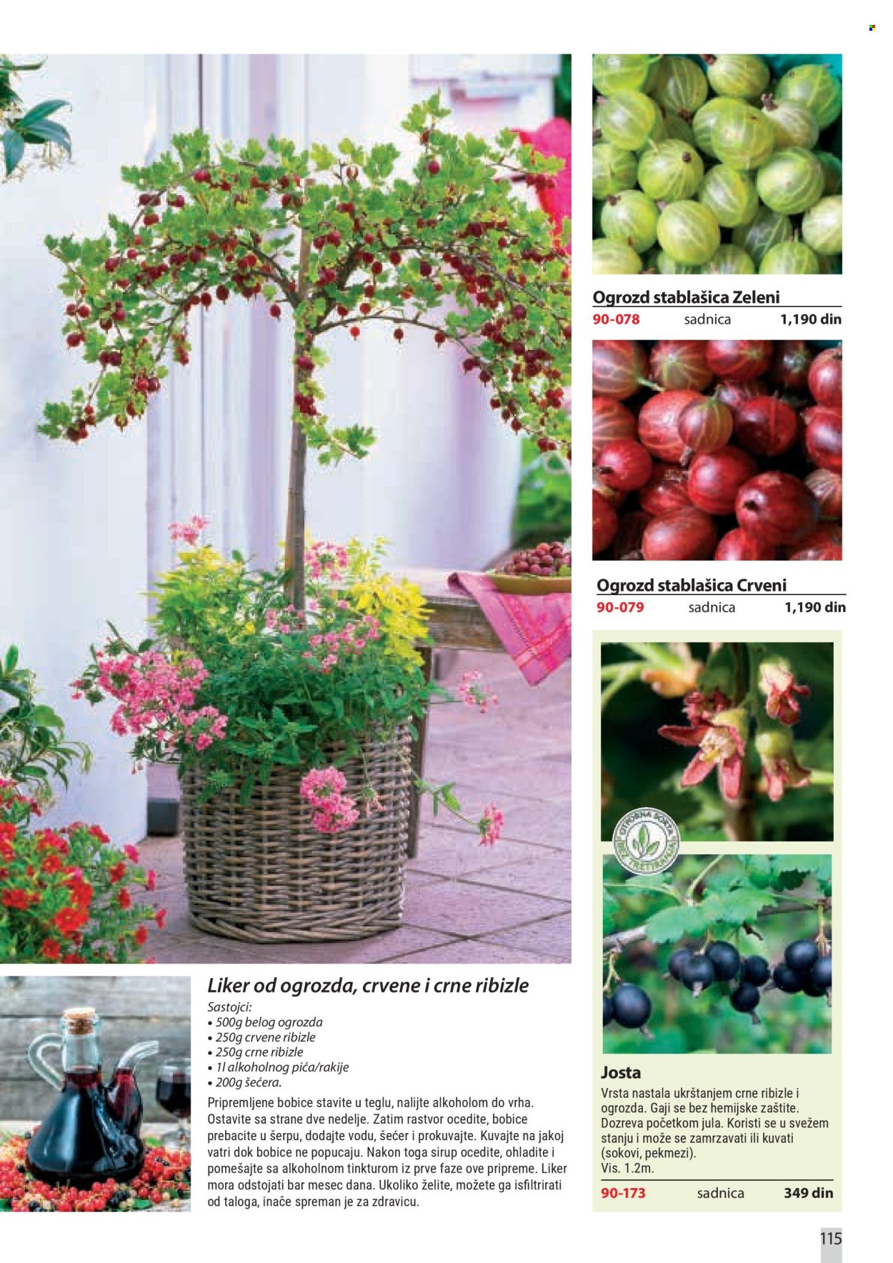 flora-ekspres - Flora Ekspres katalog februar 2026 - page: 115