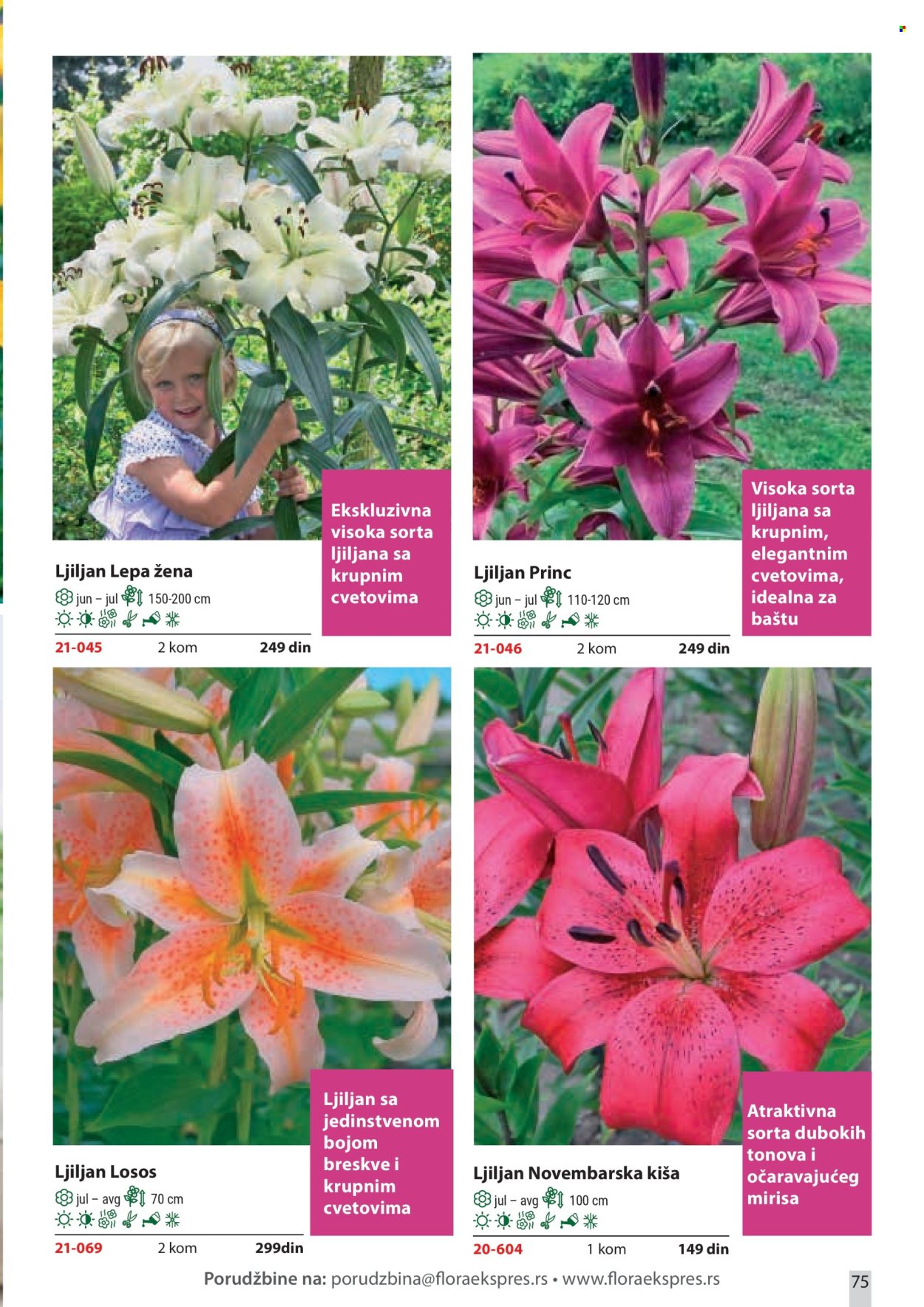 flora-ekspres - Flora Ekspres katalog februar 2026 - page: 75