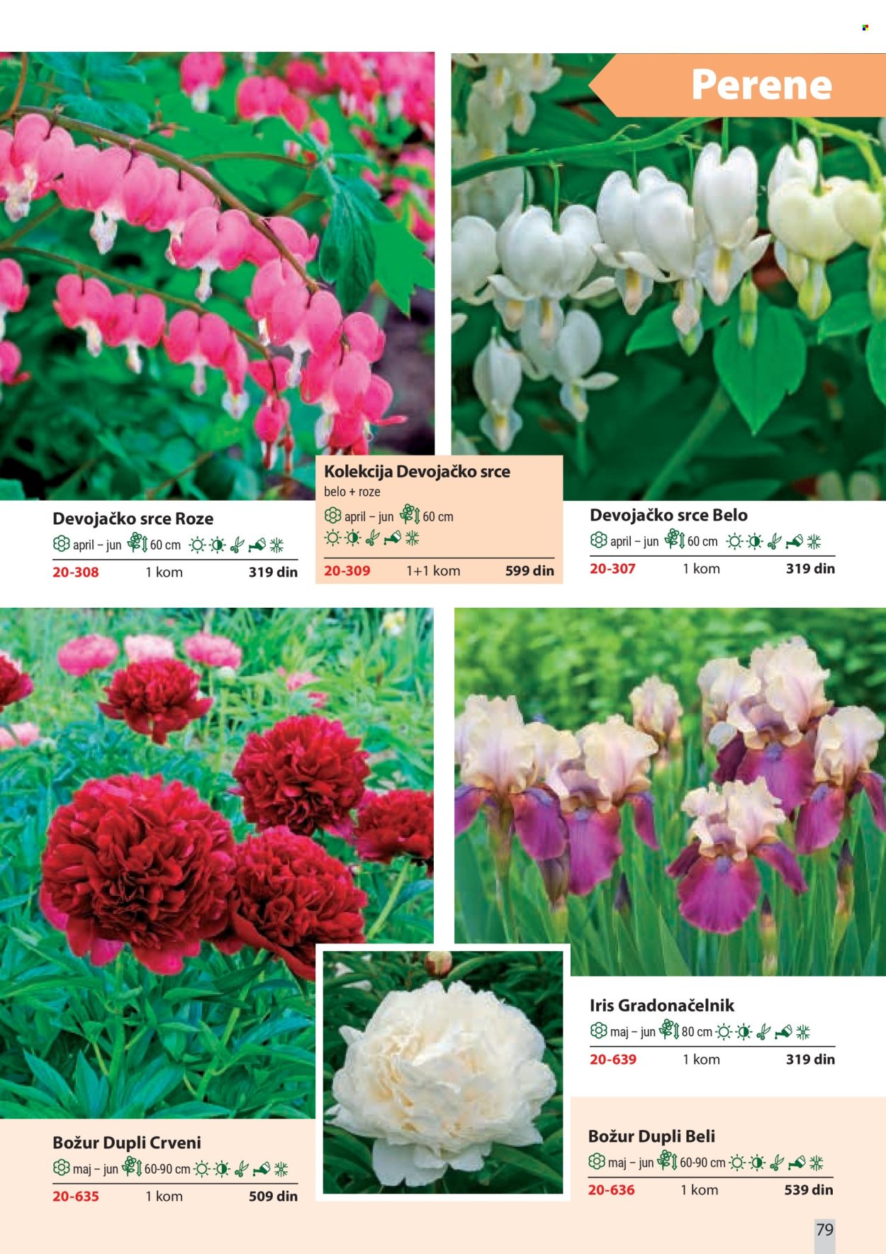 flora-ekspres - Flora Ekspres katalog februar 2026 - page: 79