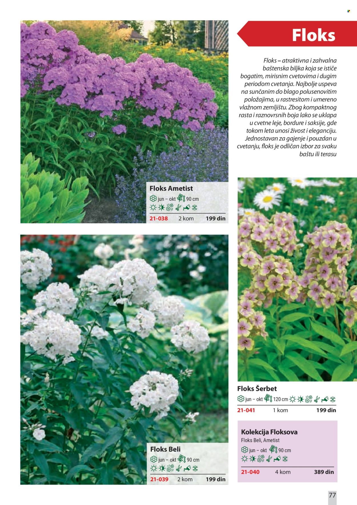 flora-ekspres - Flora Ekspres katalog februar 2026 - page: 77