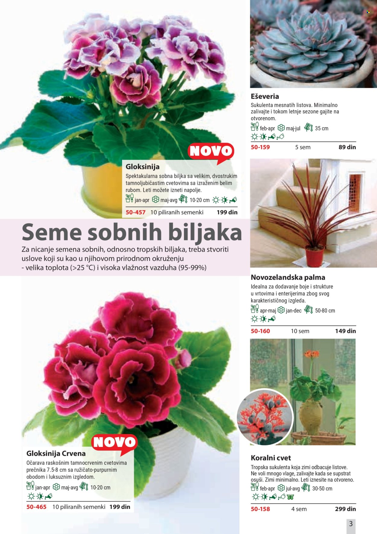 flora-ekspres - Flora Ekspres katalog februar 2026 - page: 3
