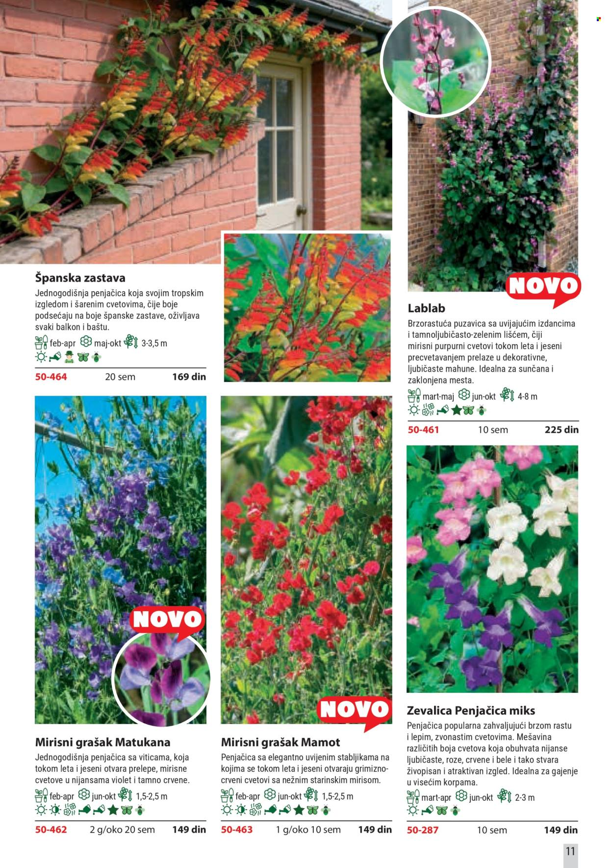 flora-ekspres - Flora Ekspres katalog februar 2026 - page: 11