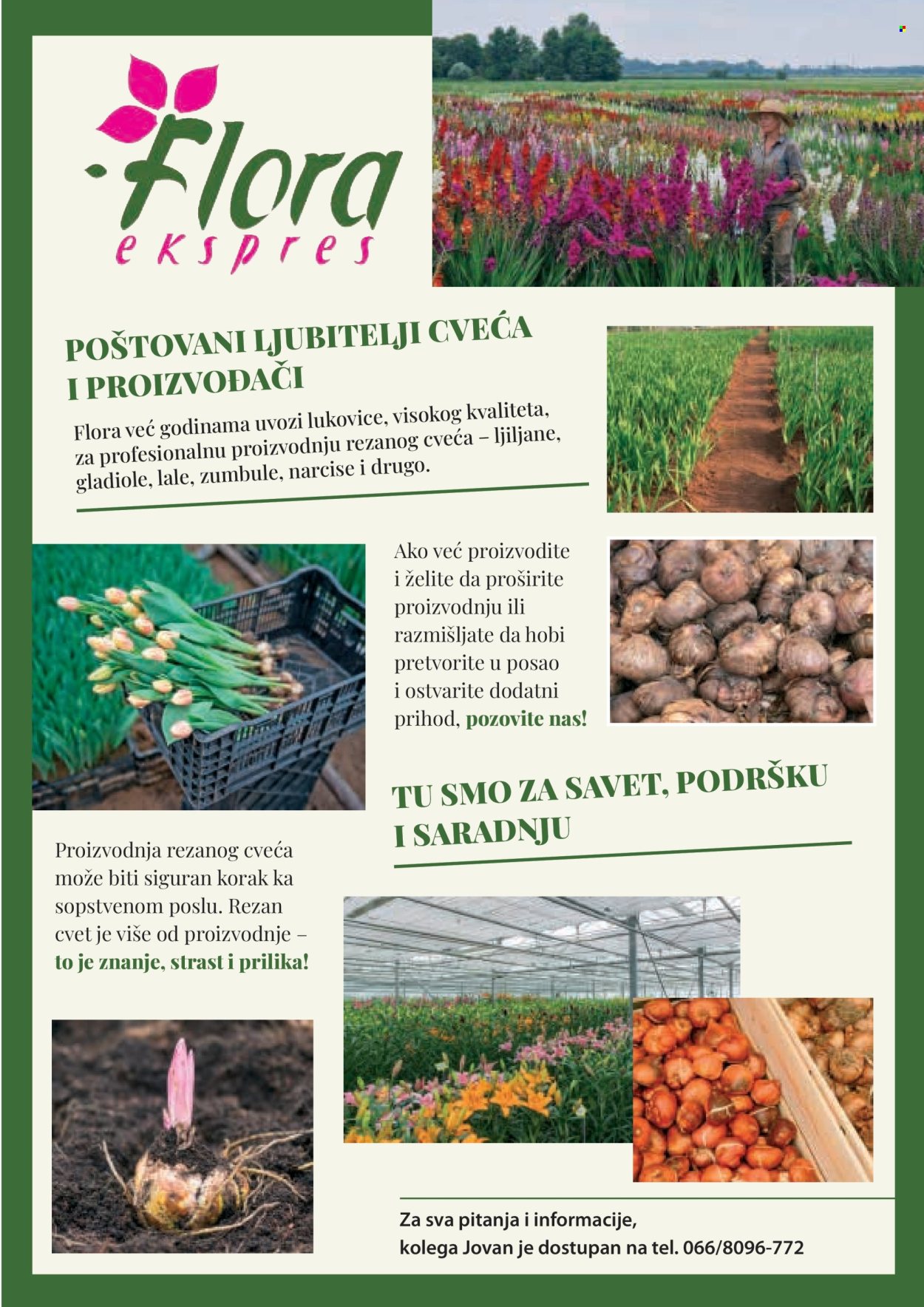 flora-ekspres - Flora Ekspres katalog februar 2026 - page: 123