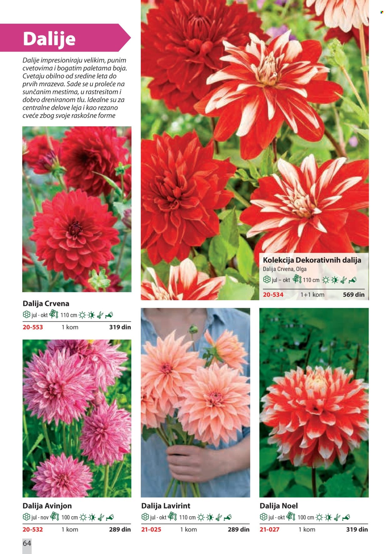 flora-ekspres - Flora Ekspres katalog februar 2026 - page: 64