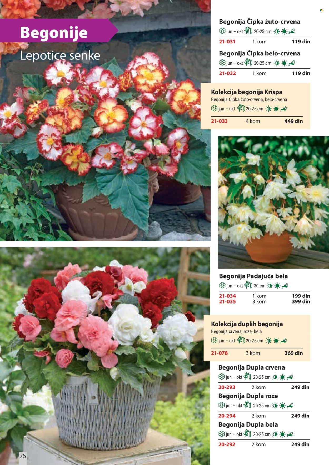 flora-ekspres - Flora Ekspres katalog februar 2026 - page: 76