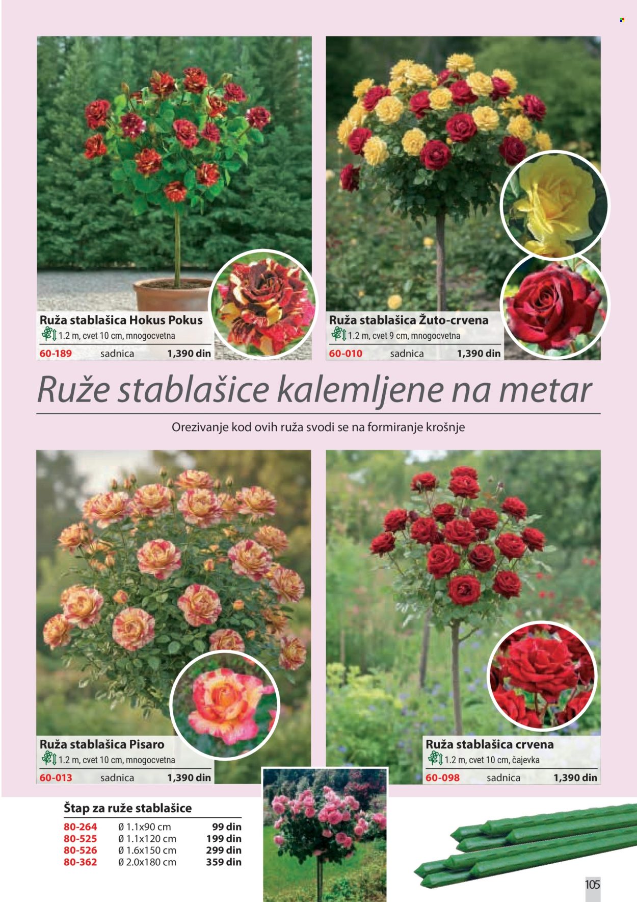 flora-ekspres - Flora Ekspres katalog februar 2026 - page: 105