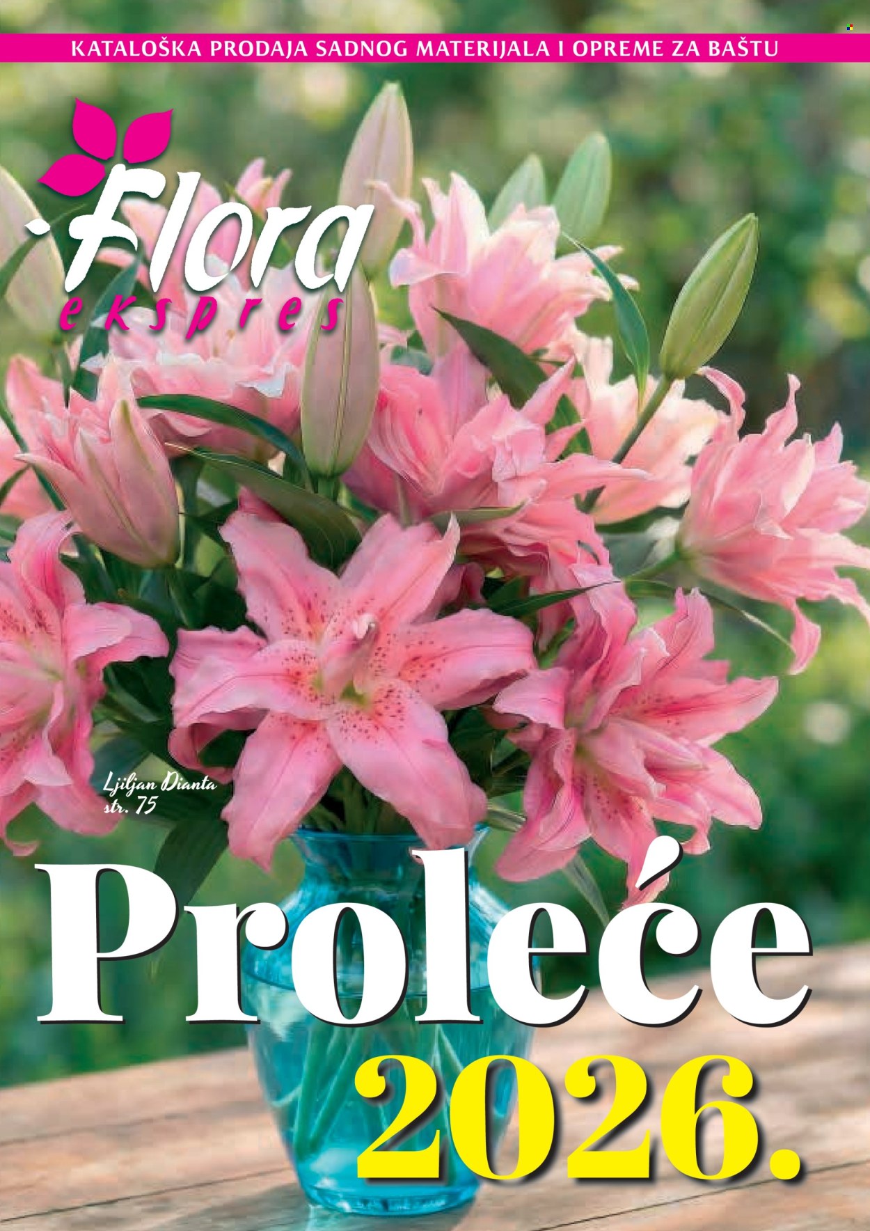 flora-ekspres - Flora Ekspres katalog februar 2026