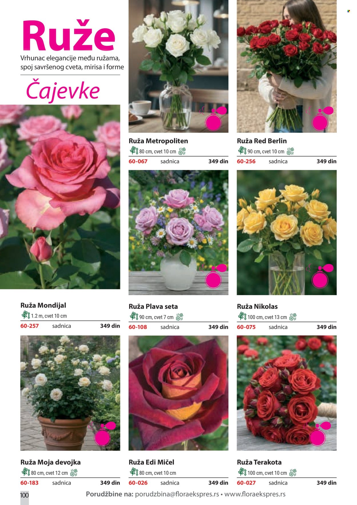 flora-ekspres - Flora Ekspres katalog februar 2026 - page: 100