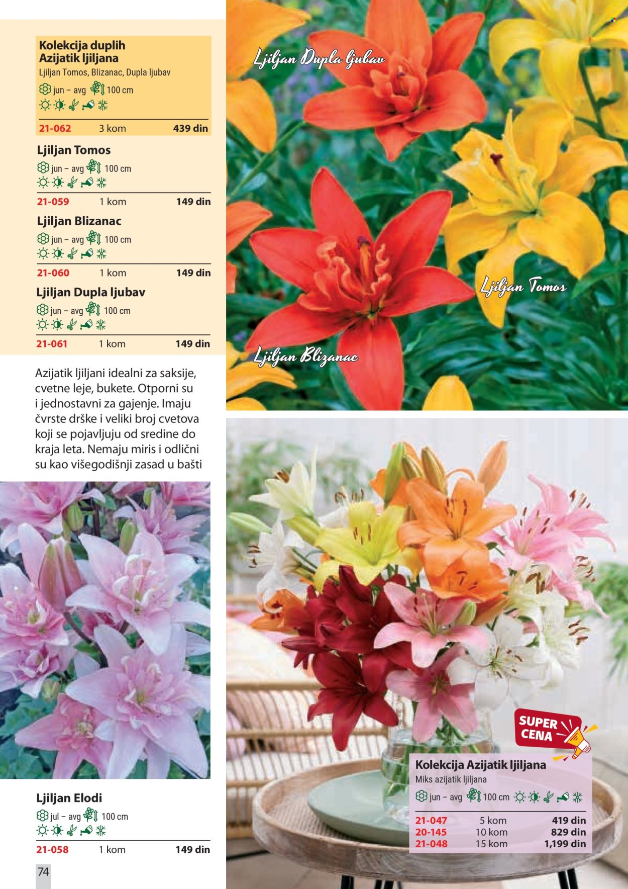 flora-ekspres - Flora Ekspres katalog februar 2026 - page: 74