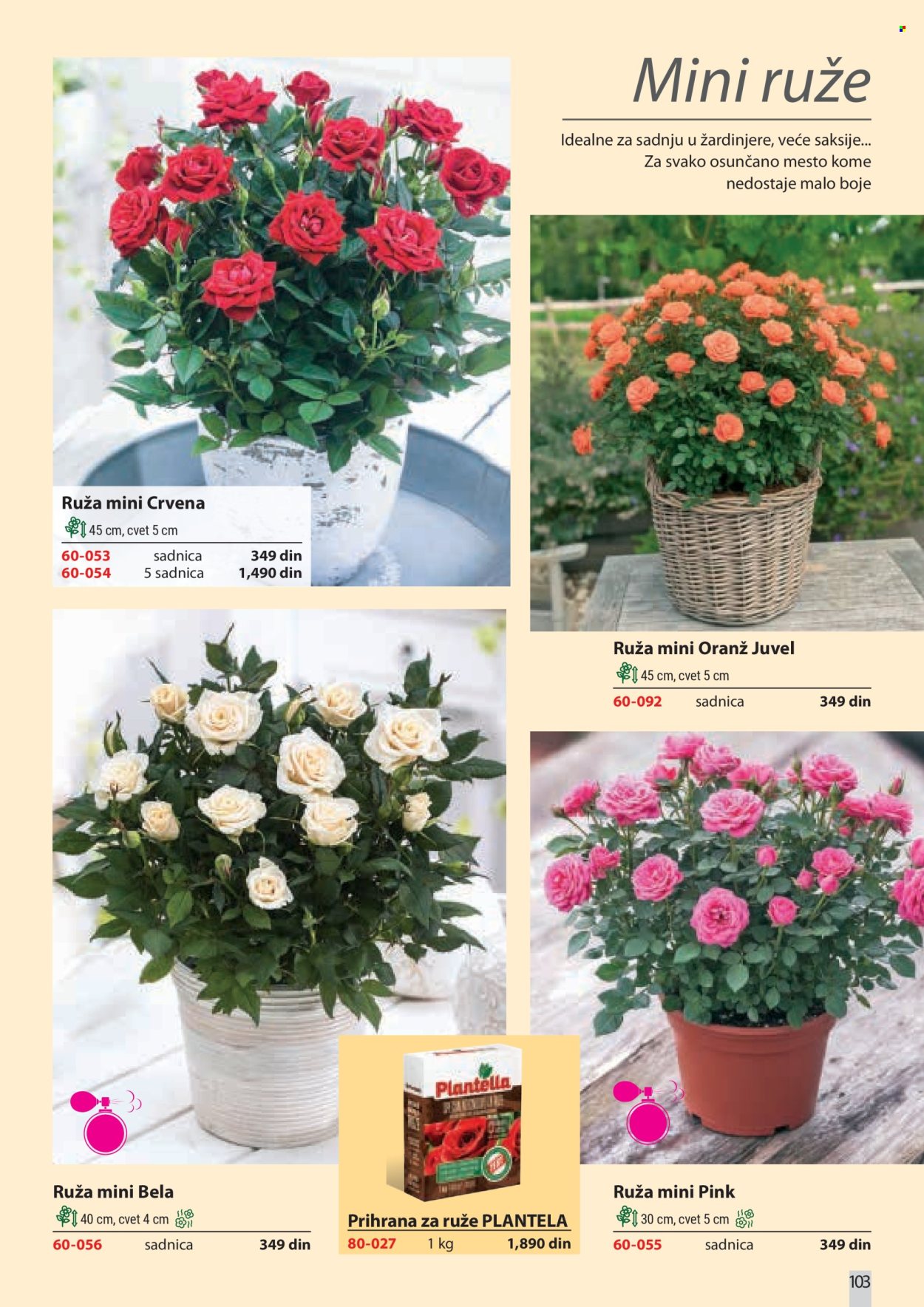 flora-ekspres - Flora Ekspres katalog februar 2026 - page: 103
