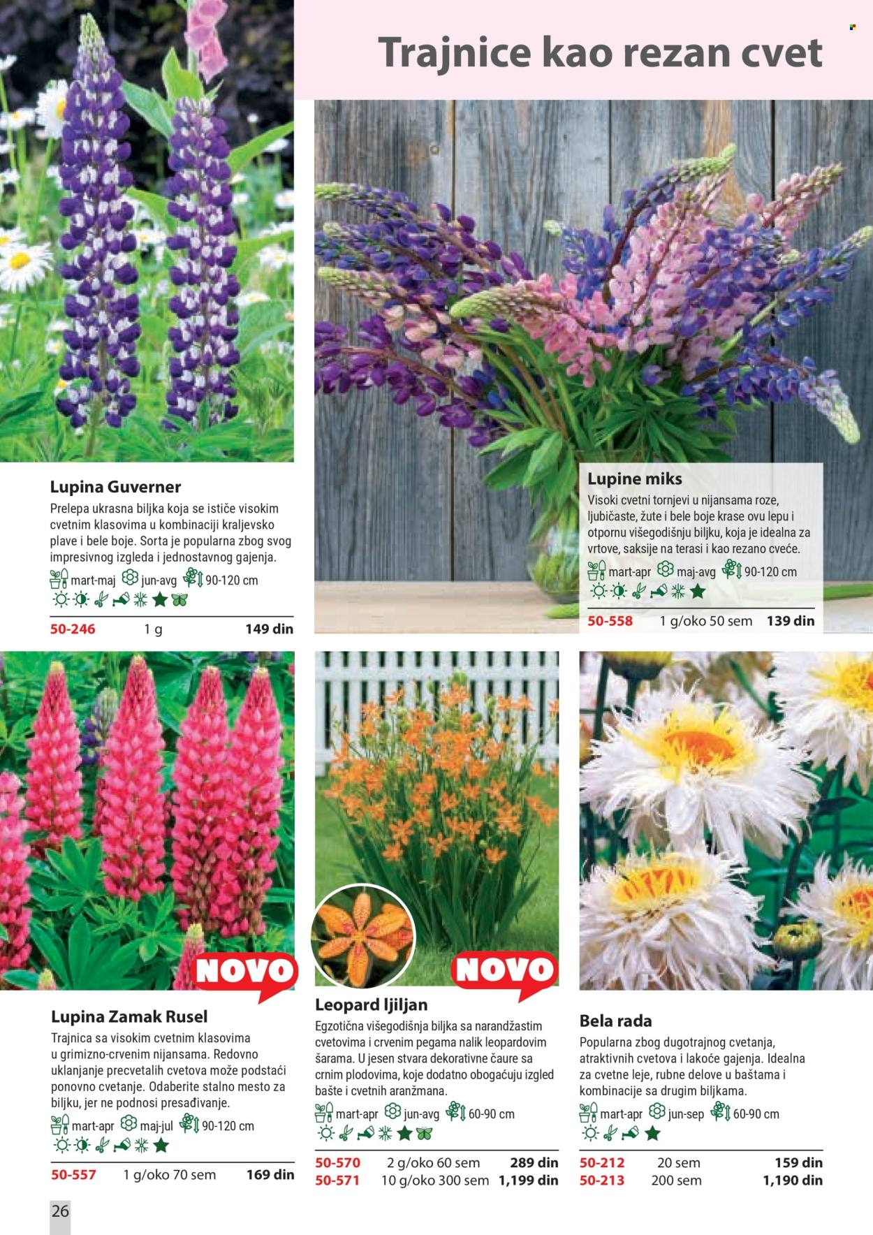 flora-ekspres - Flora Ekspres katalog februar 2026 - page: 26
