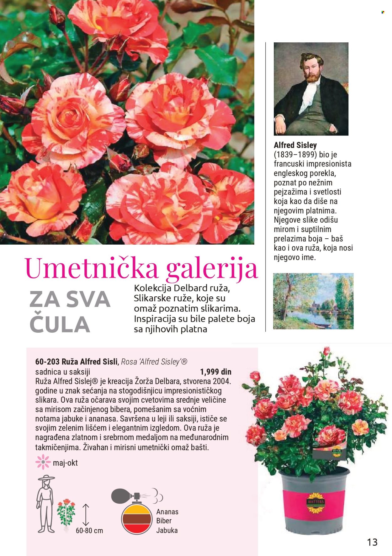 flora-ekspres - Flora Ekspres katalog mart 2026 - page: 13