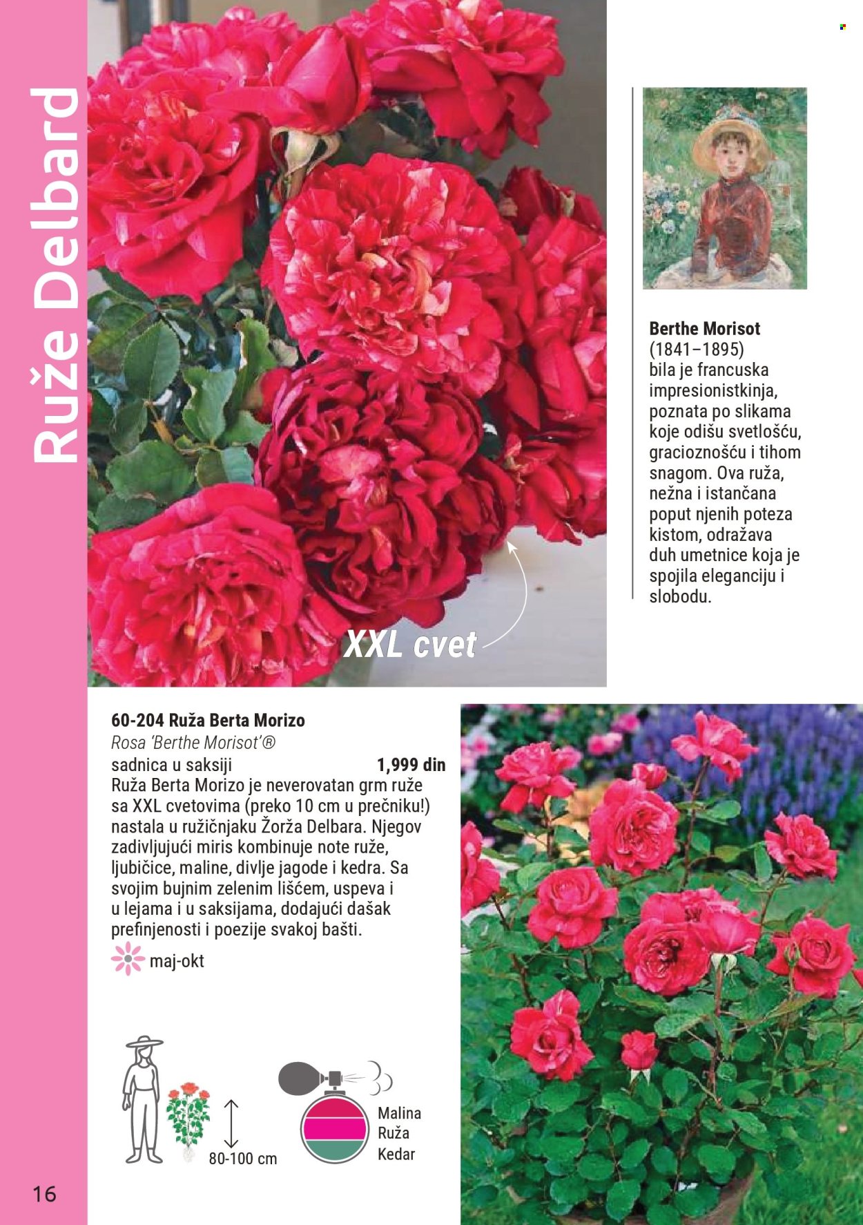 flora-ekspres - Flora Ekspres katalog mart 2026 - page: 16