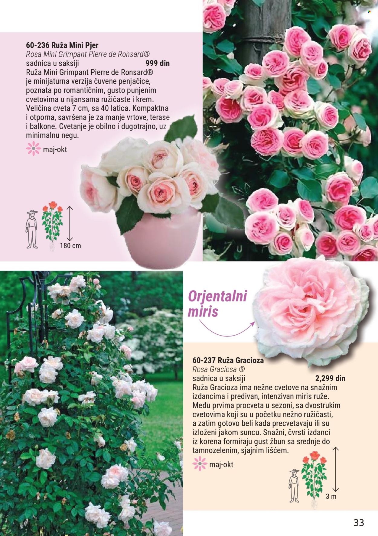 flora-ekspres - Flora Ekspres katalog mart 2026 - page: 33