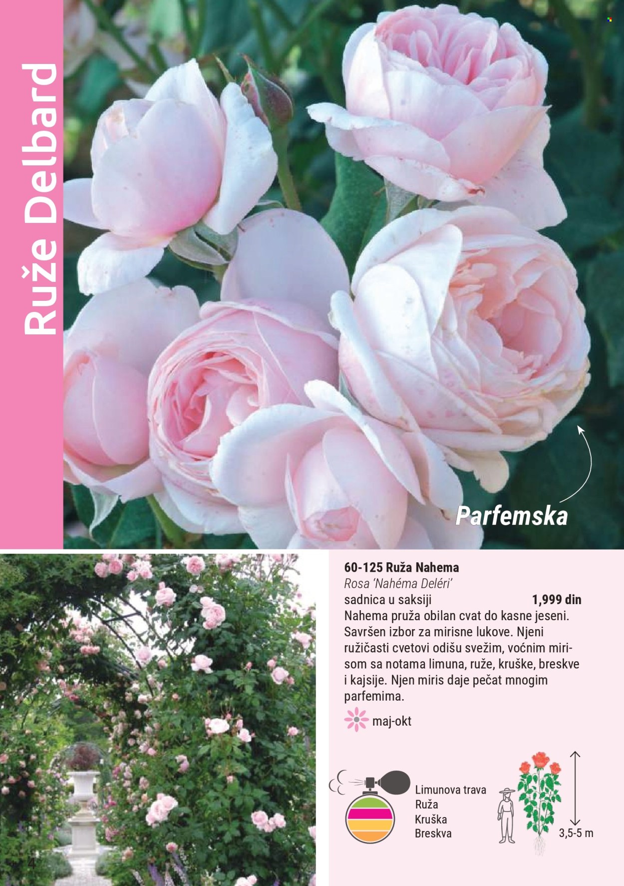 flora-ekspres - Flora Ekspres katalog mart 2026 - page: 4