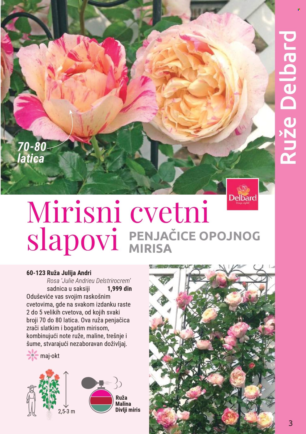 flora-ekspres - Flora Ekspres katalog mart 2026 - page: 3