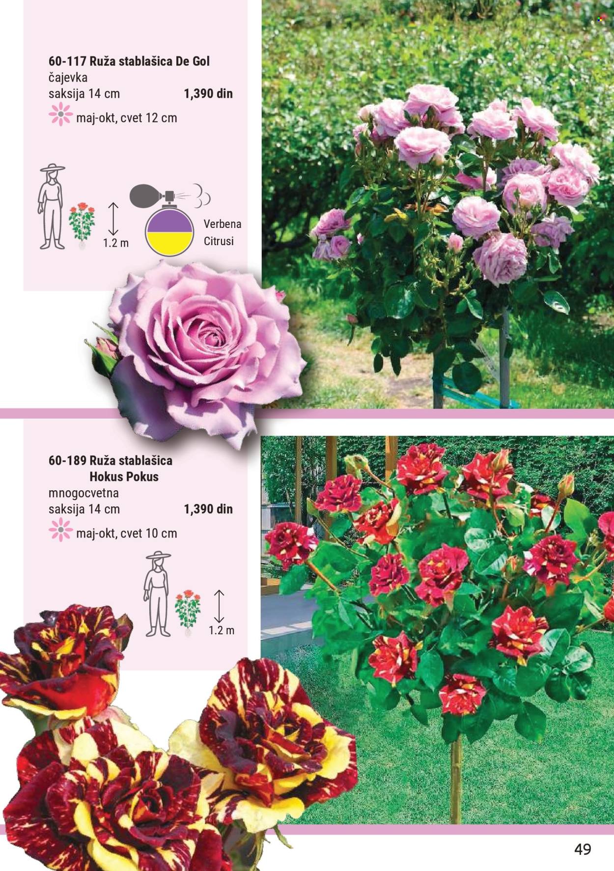 flora-ekspres - Flora Ekspres katalog mart 2026 - page: 49