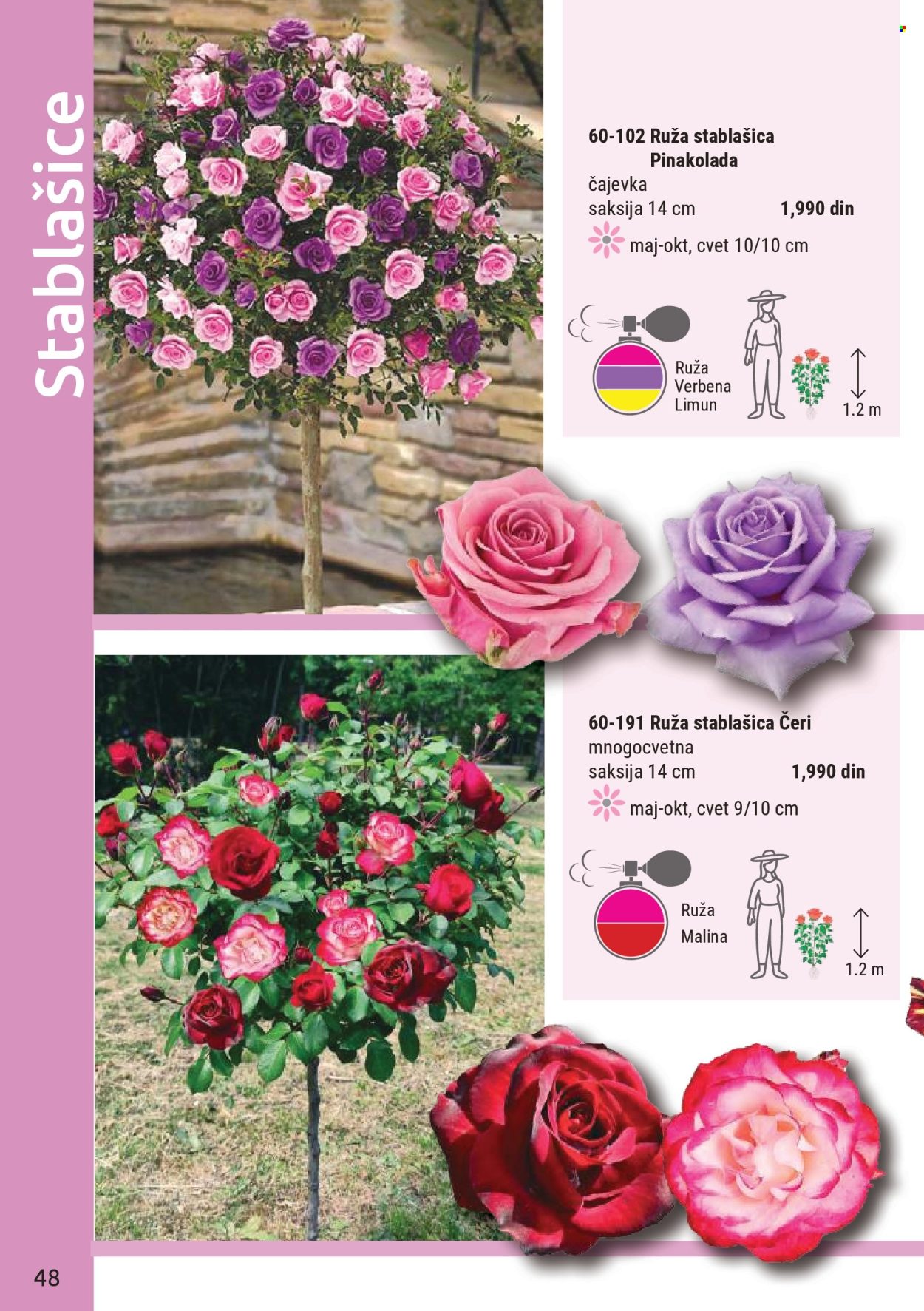 flora-ekspres - Flora Ekspres katalog mart 2026 - page: 48