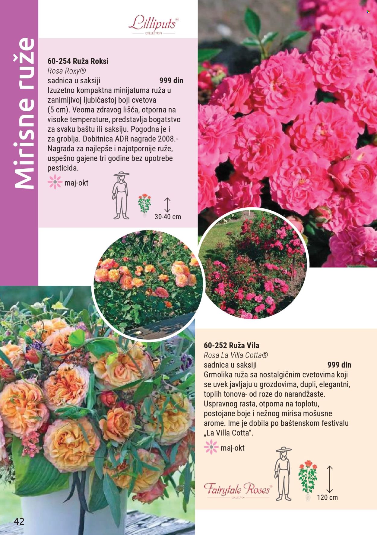 flora-ekspres - Flora Ekspres katalog mart 2026 - page: 42