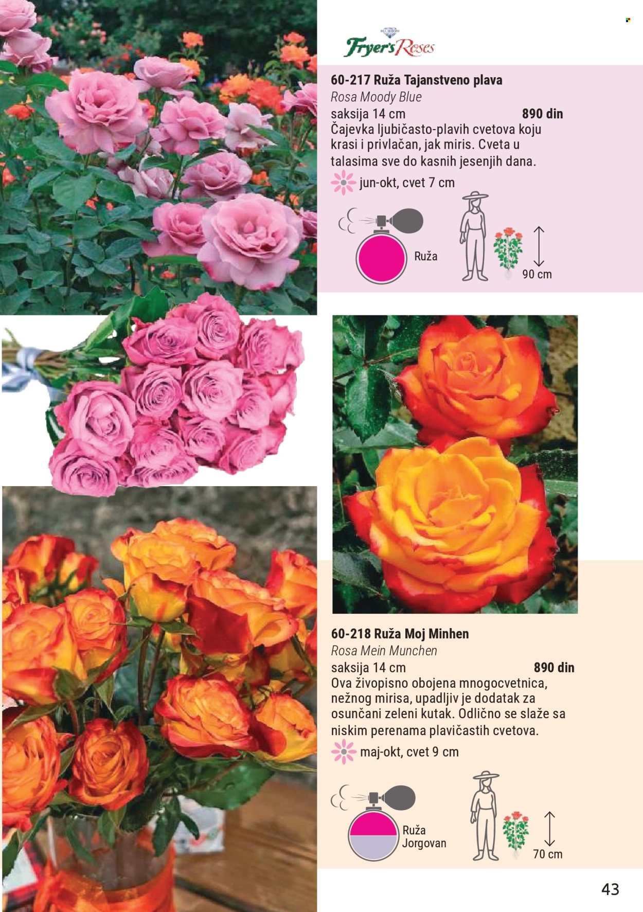 flora-ekspres - Flora Ekspres katalog mart 2026 - page: 43