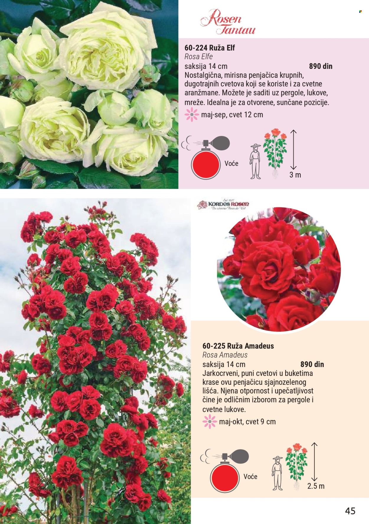 flora-ekspres - Flora Ekspres katalog mart 2026 - page: 45