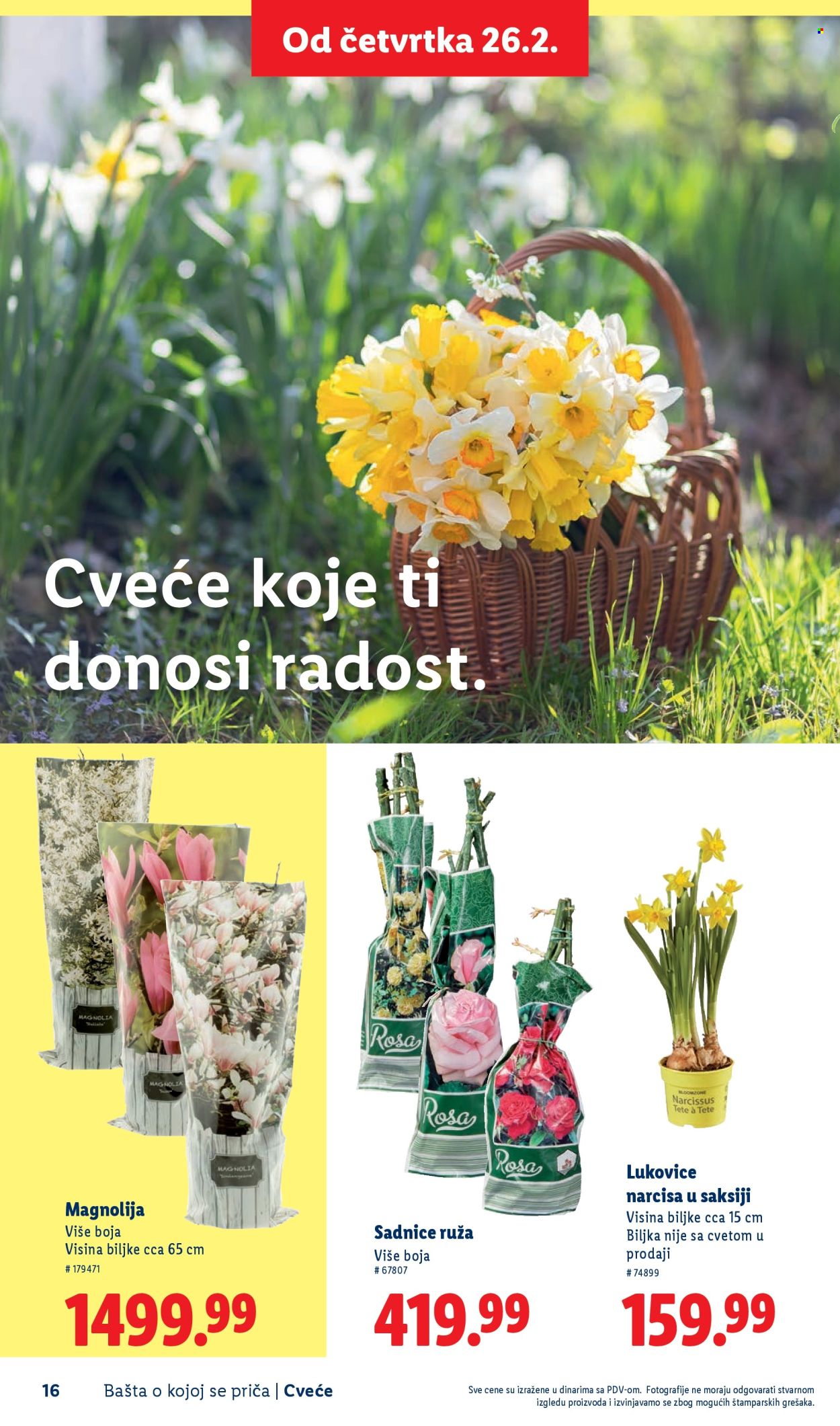lidl - Lidl katalog mart 2026 - page: 16