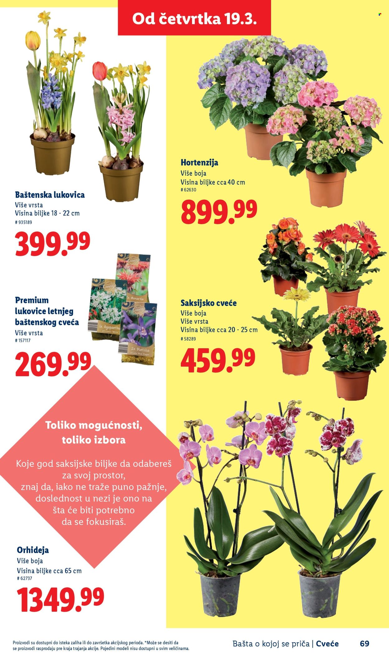 lidl - Lidl katalog mart 2026 - page: 69