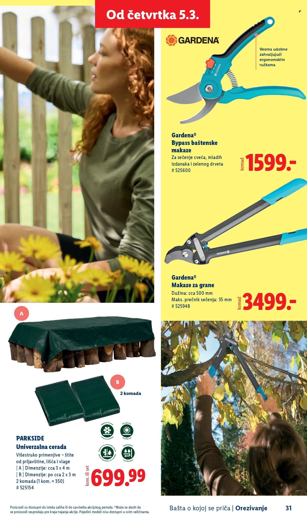 lidl - Lidl katalog mart 2026 - page: 31
