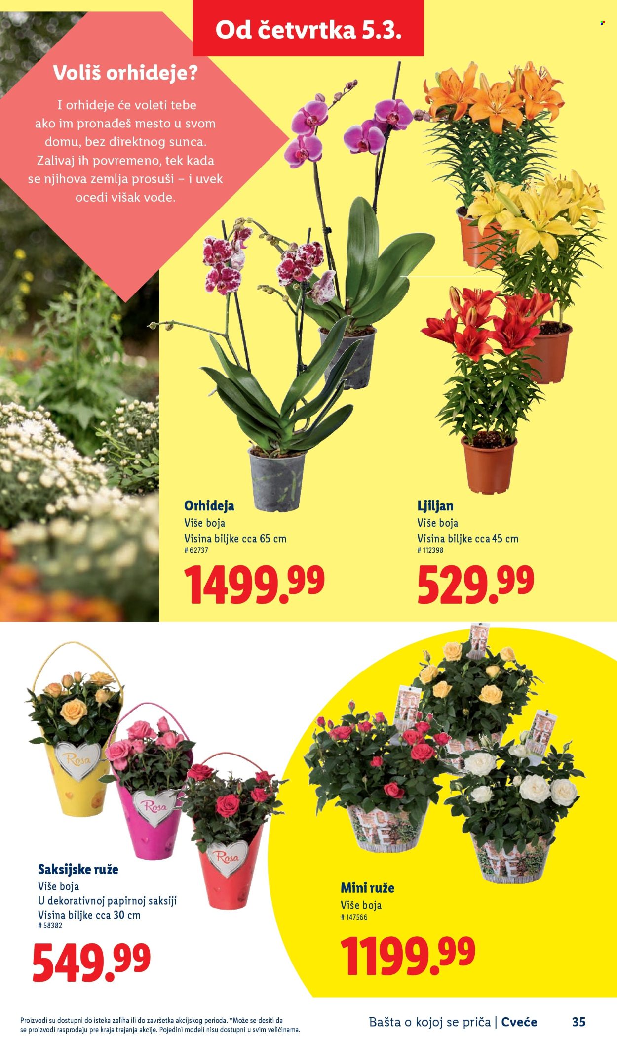 lidl - Lidl katalog mart 2026 - page: 35