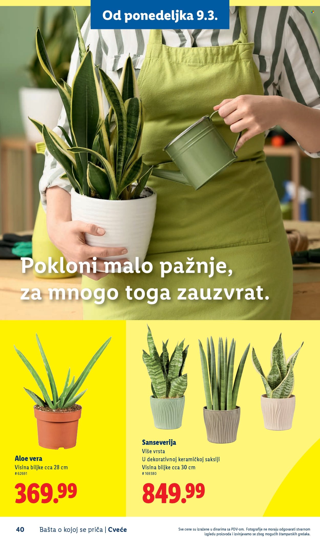 lidl - Lidl katalog mart 2026 - page: 40