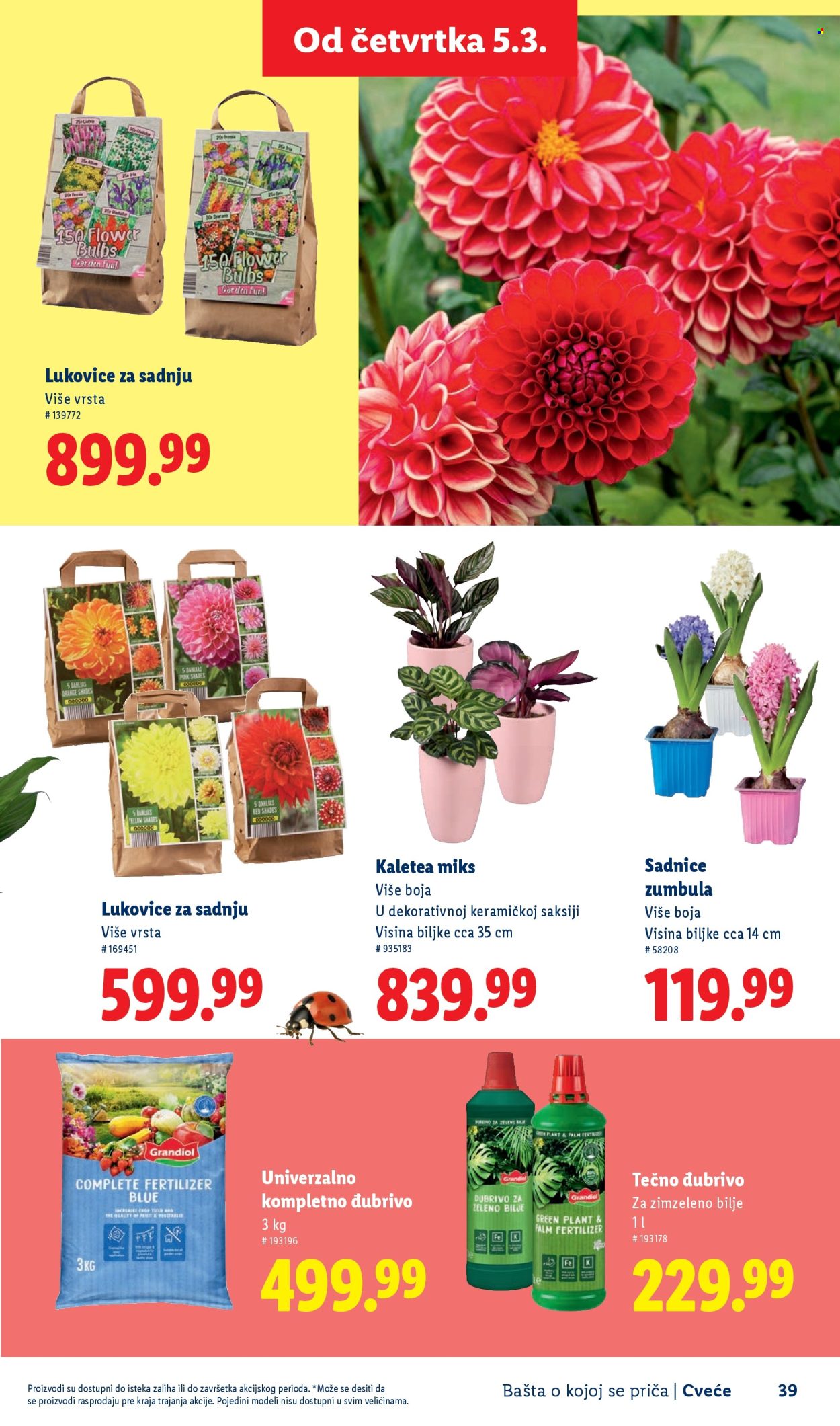 lidl - Lidl katalog mart 2026 - page: 39