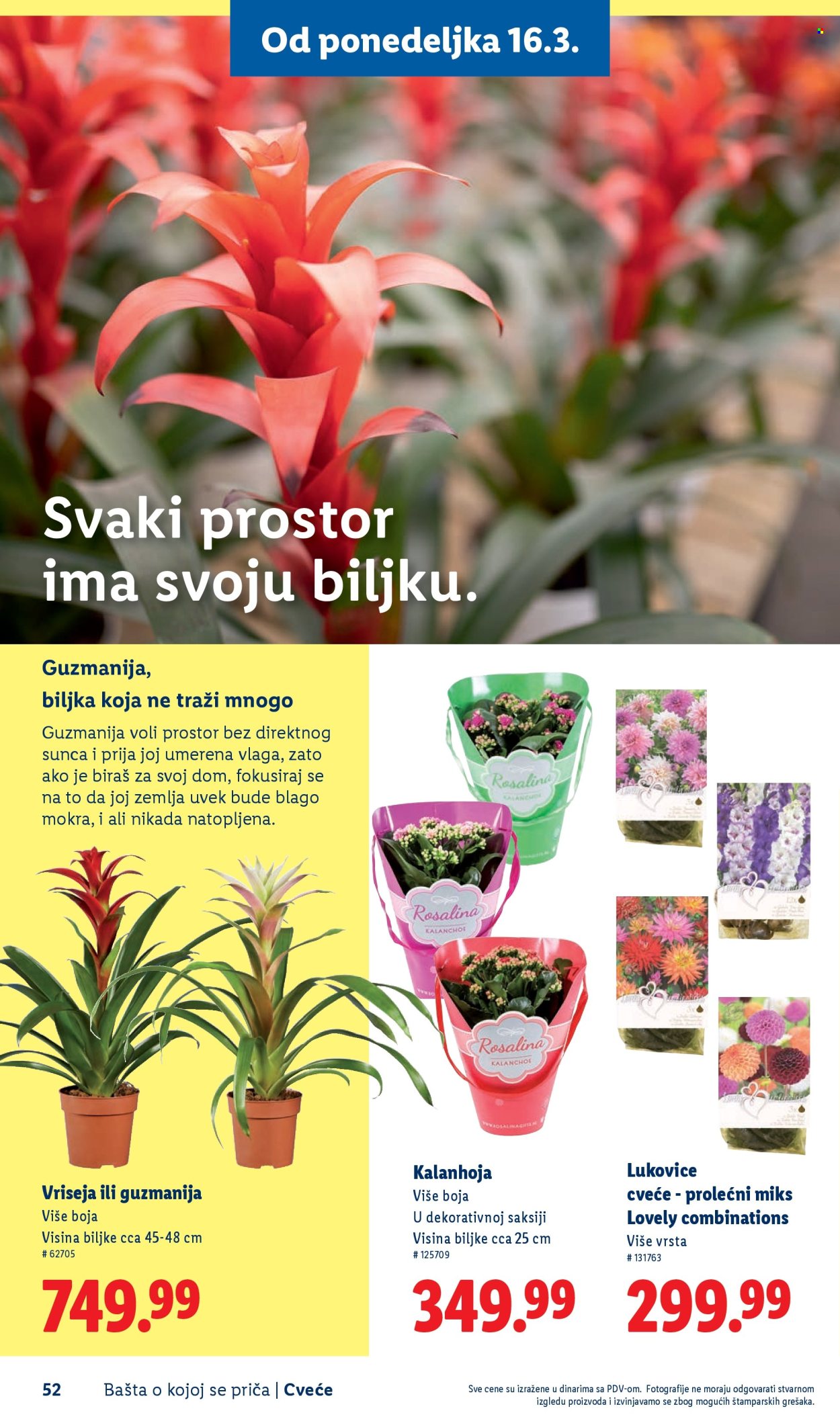 lidl - Lidl katalog mart 2026 - page: 52