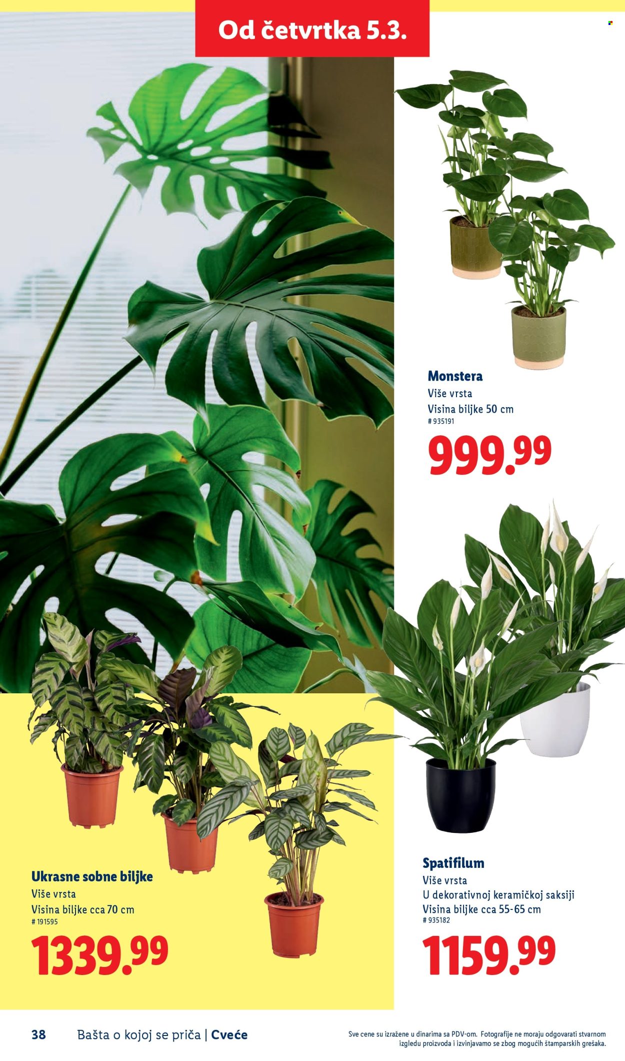 lidl - Lidl katalog mart 2026 - page: 38