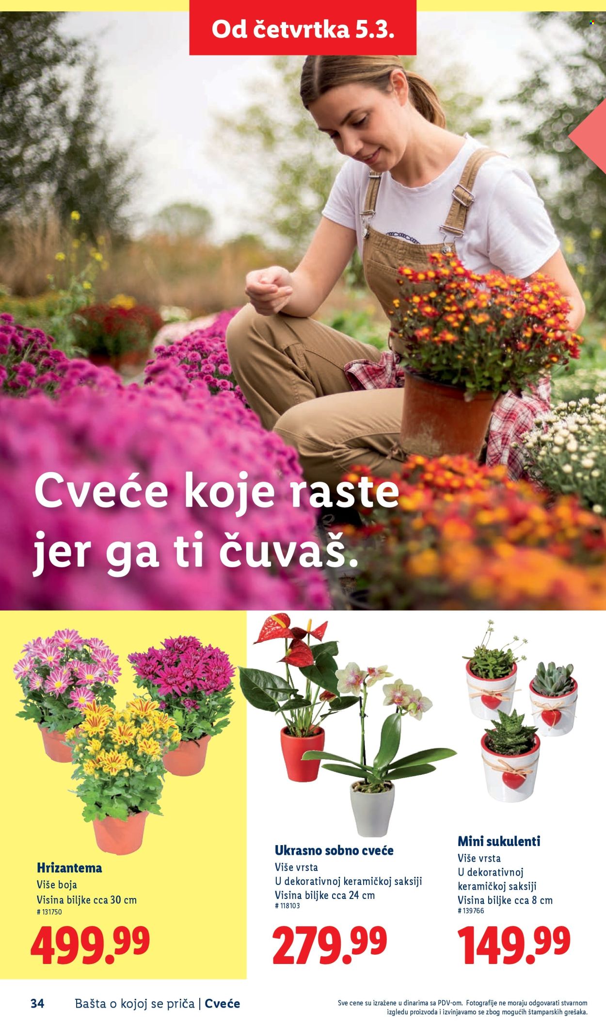 lidl - Lidl katalog mart 2026 - page: 34