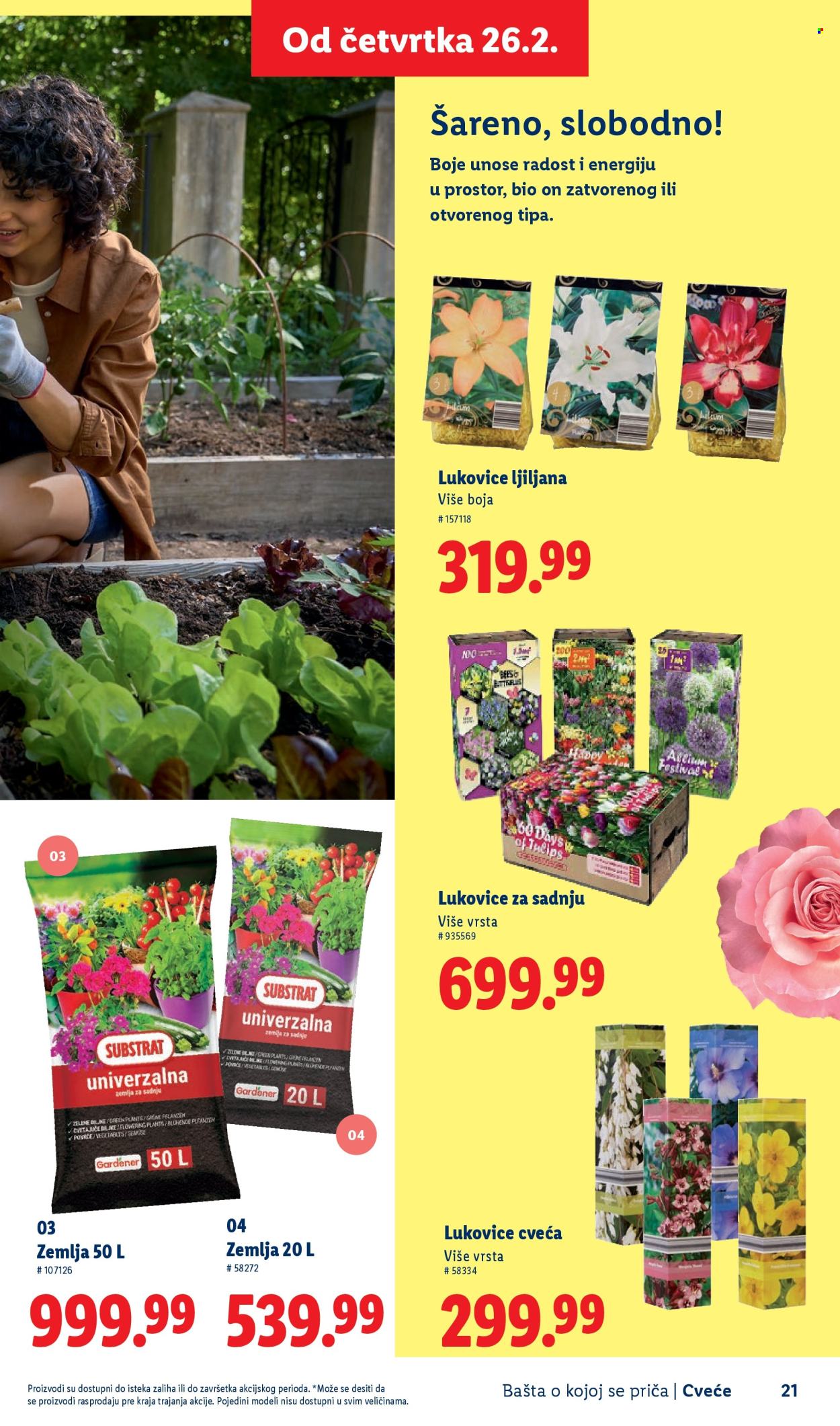 lidl - Lidl katalog mart 2026 - page: 21
