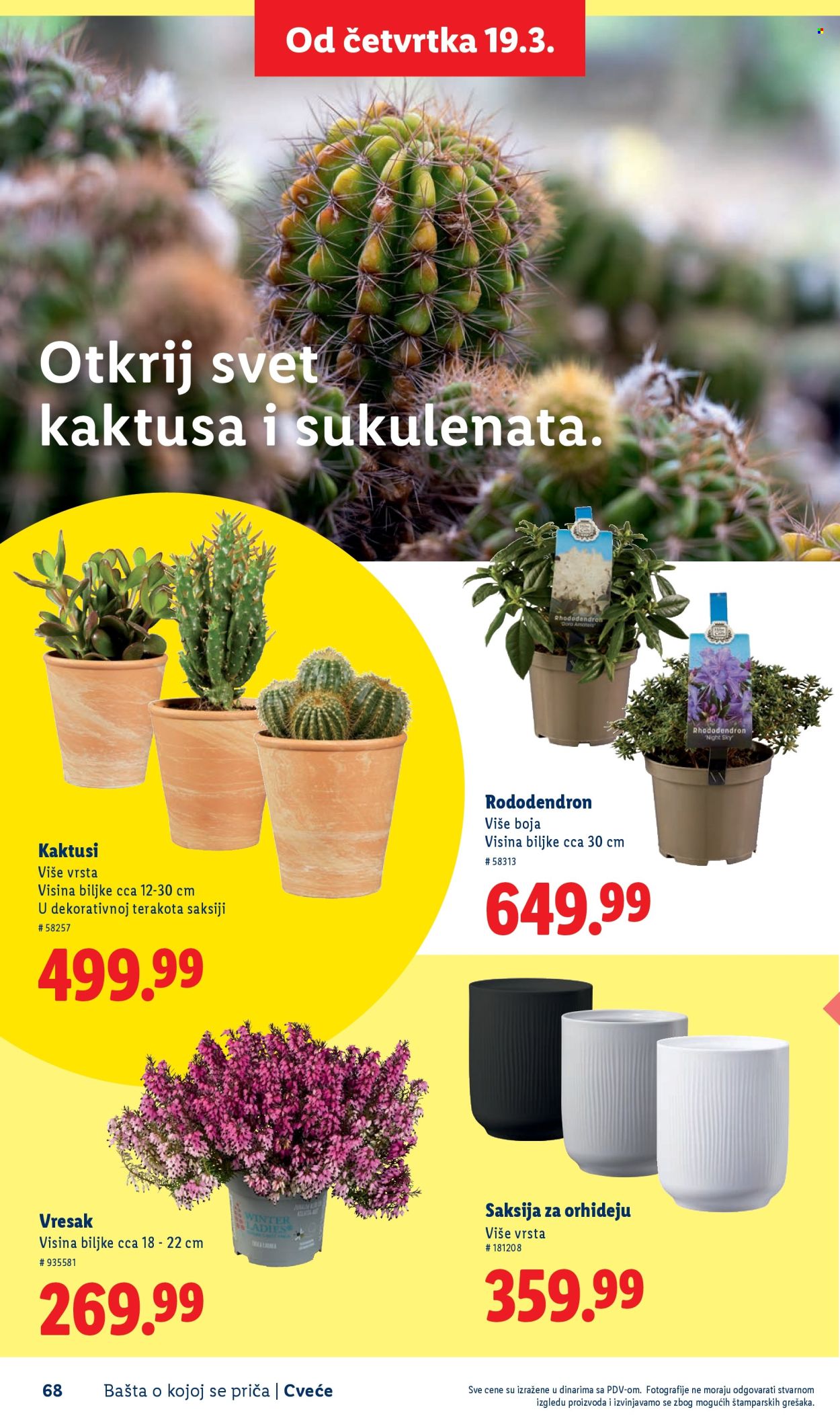 lidl - Lidl katalog mart 2026 - page: 68
