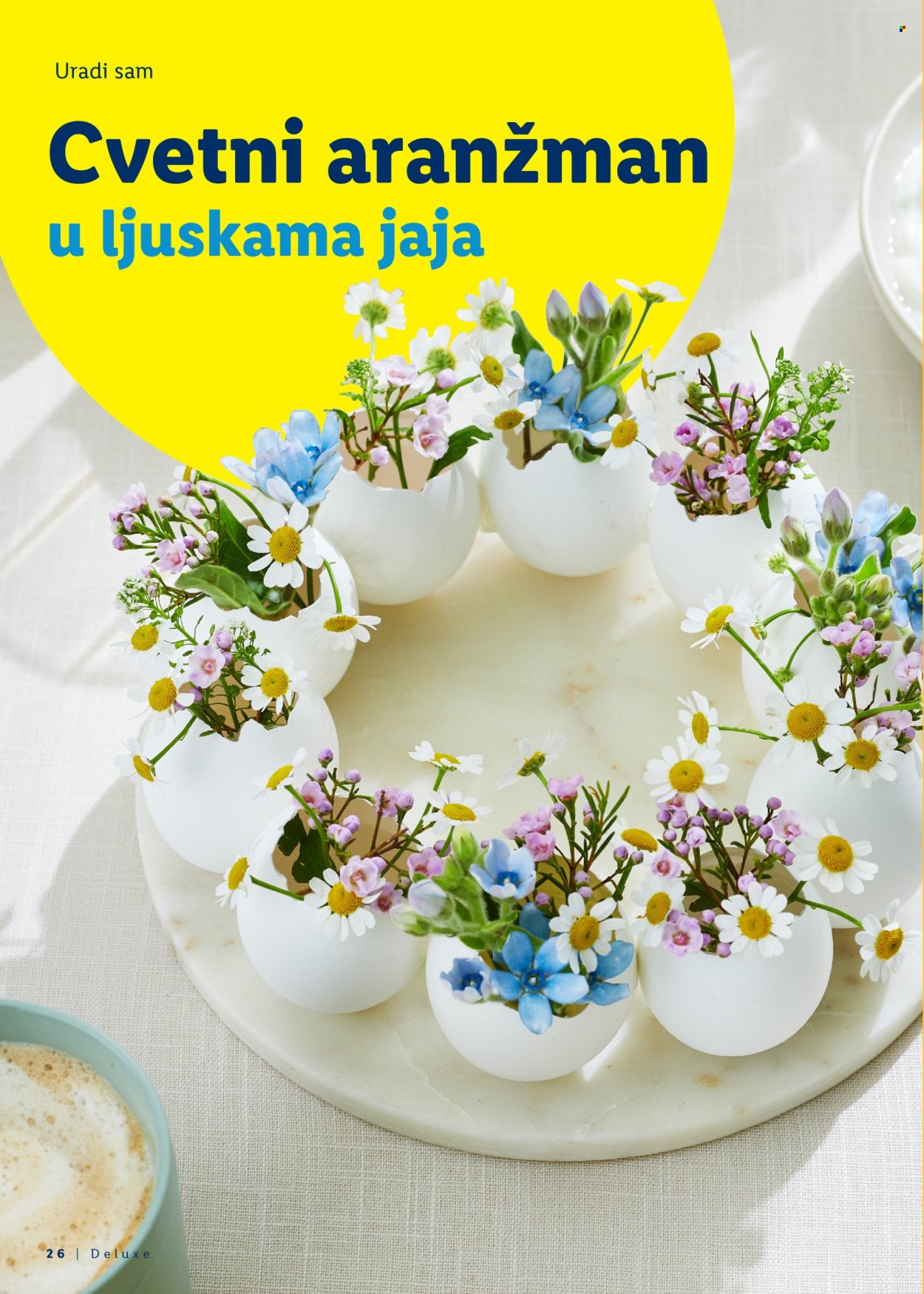 lidl - Lidl katalog mart 2026 - page: 26